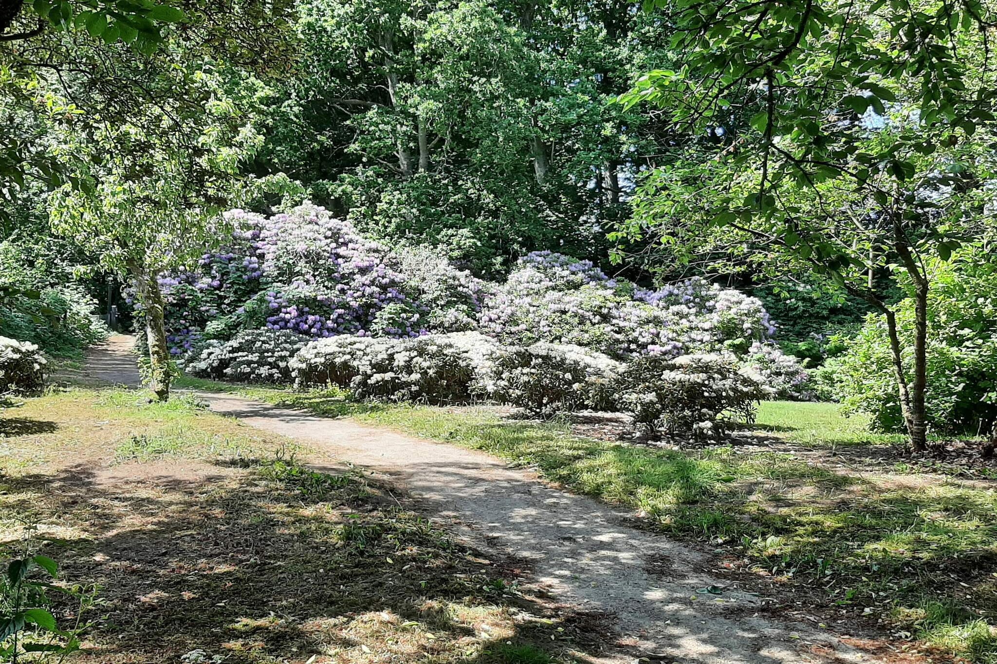 6 person holiday home in SÃ¦by-By Traum