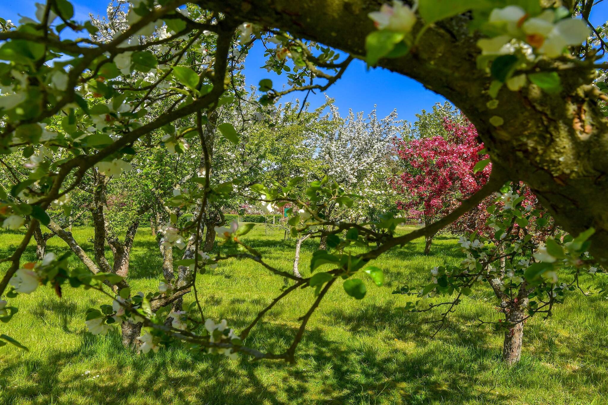 6 person holiday home in SÃ¦by-By Traum