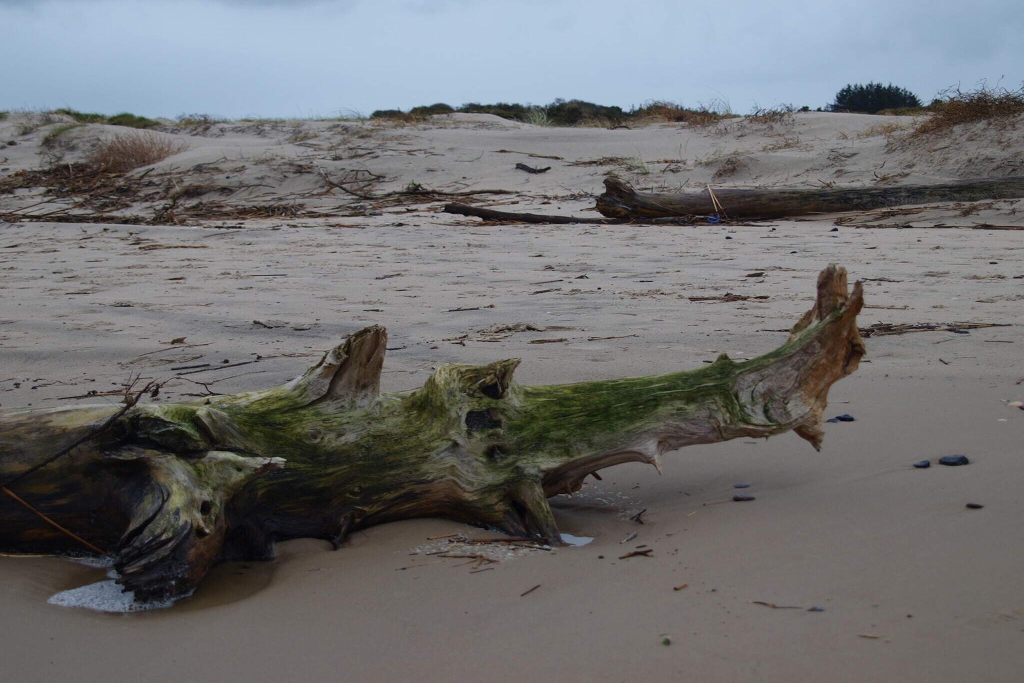 6 persoons vakantie huis in Bindslev-By Traum