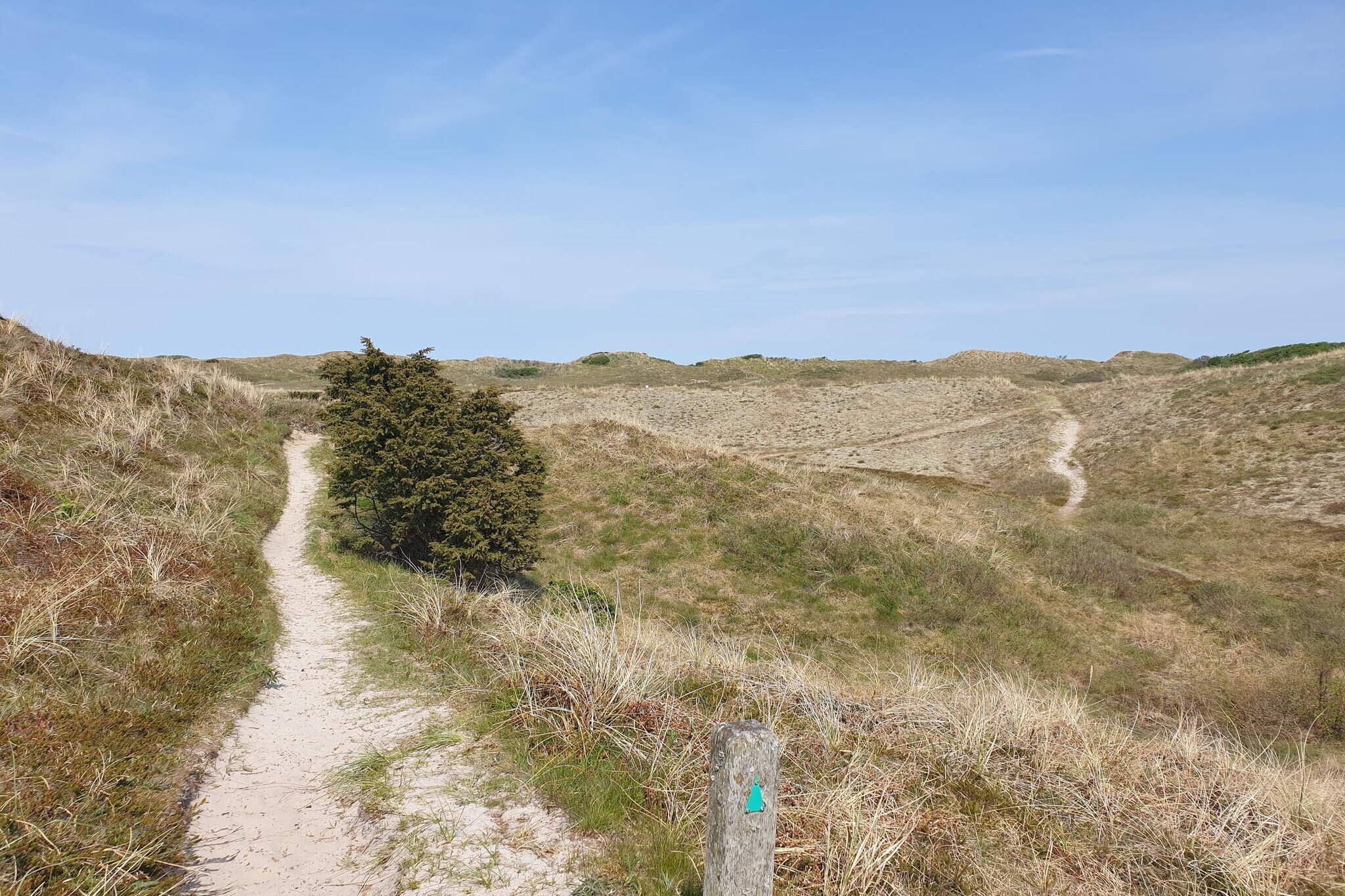 6 persoons vakantie huis in Bindslev-By Traum-Niet-getagd