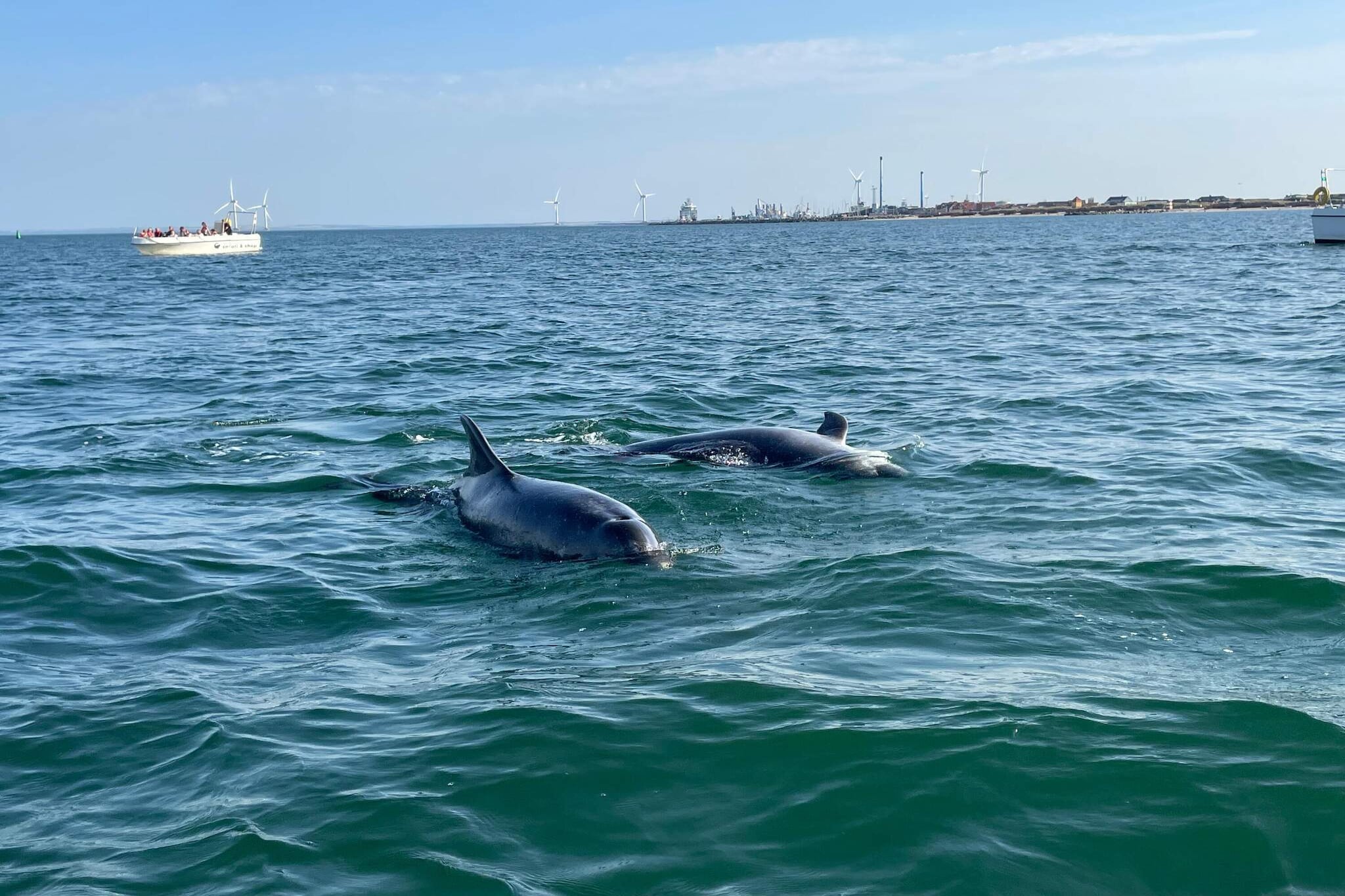 Maison de vacances pour 4 a Thyborøn-By Traum-Vue sur l'eau