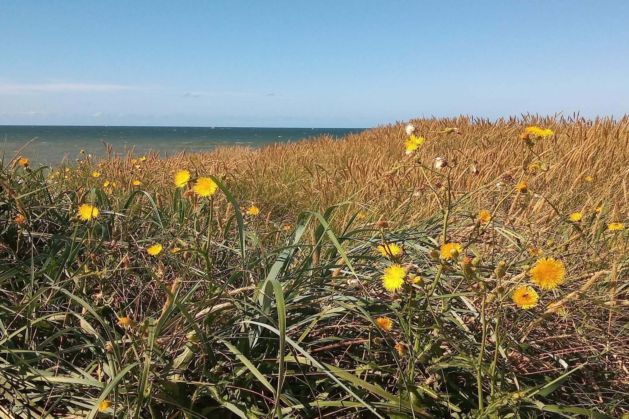 Gezellig strandhuisje -- By Traum Ferienwohnungen-Niet-getagd