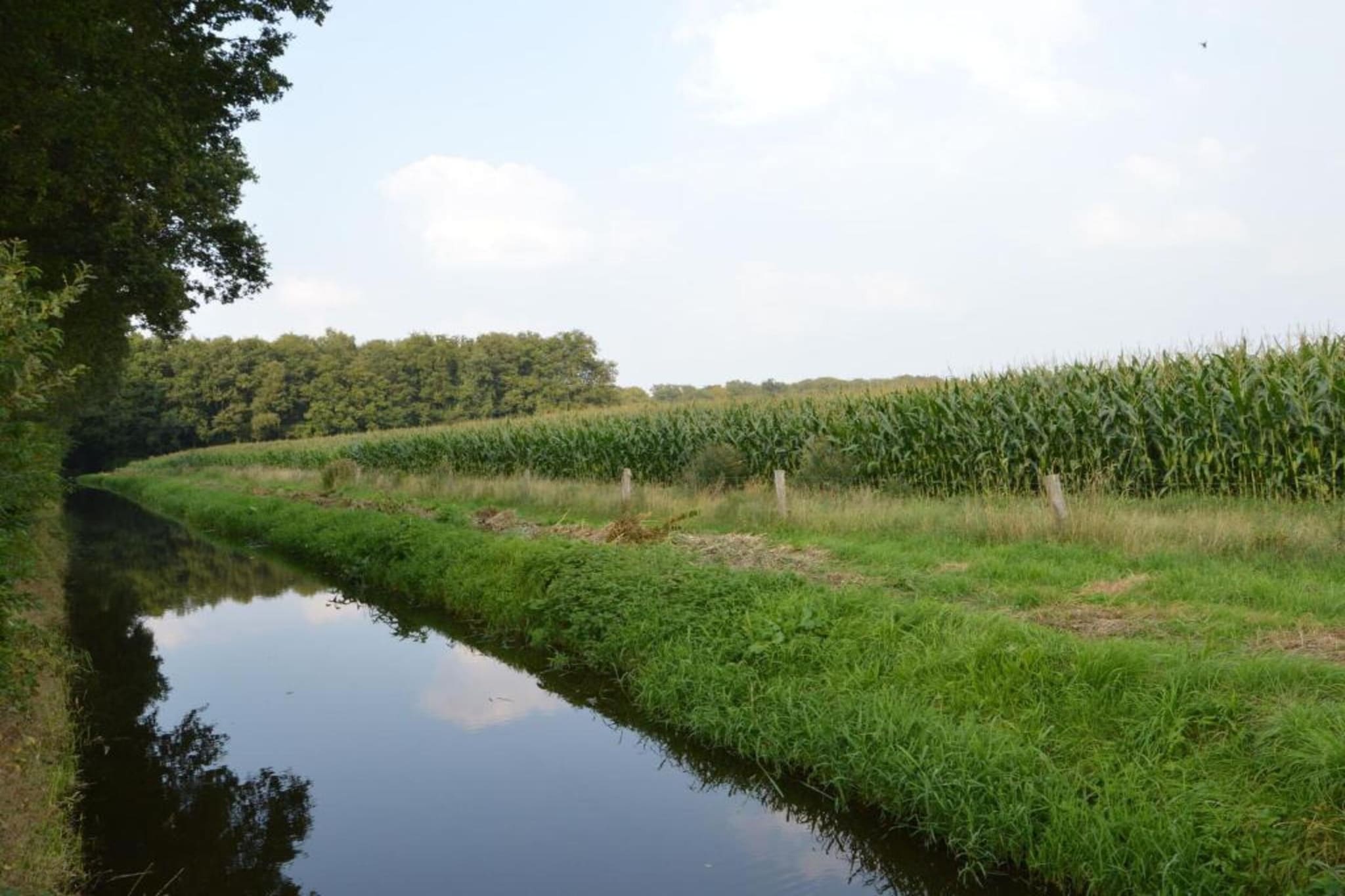 Erve Tank-Gebiete Sommer 20 km