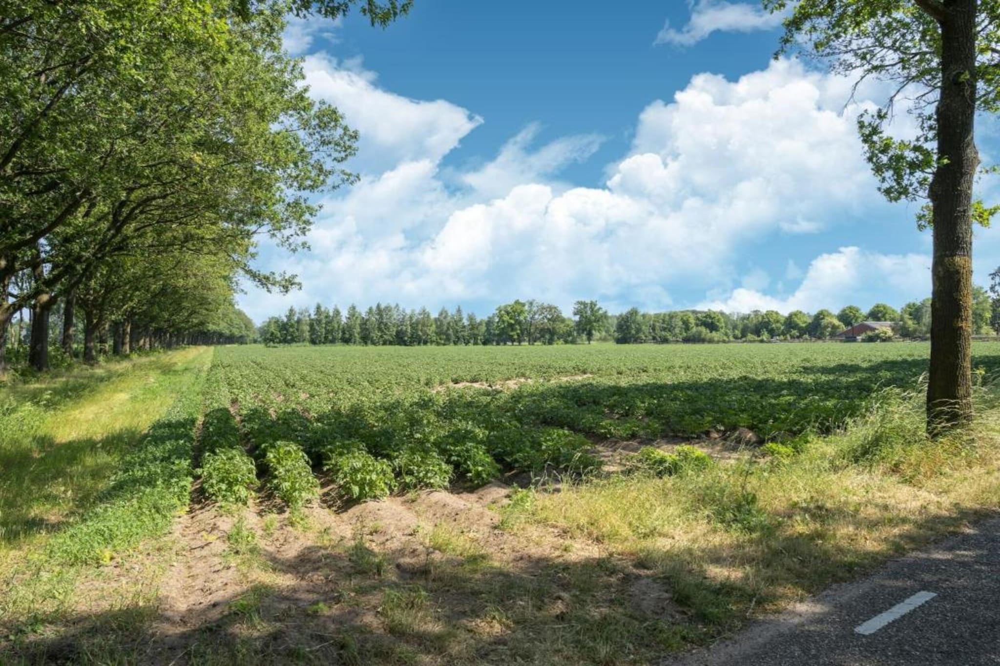 Erve Tank-Gebiete Sommer 20 km