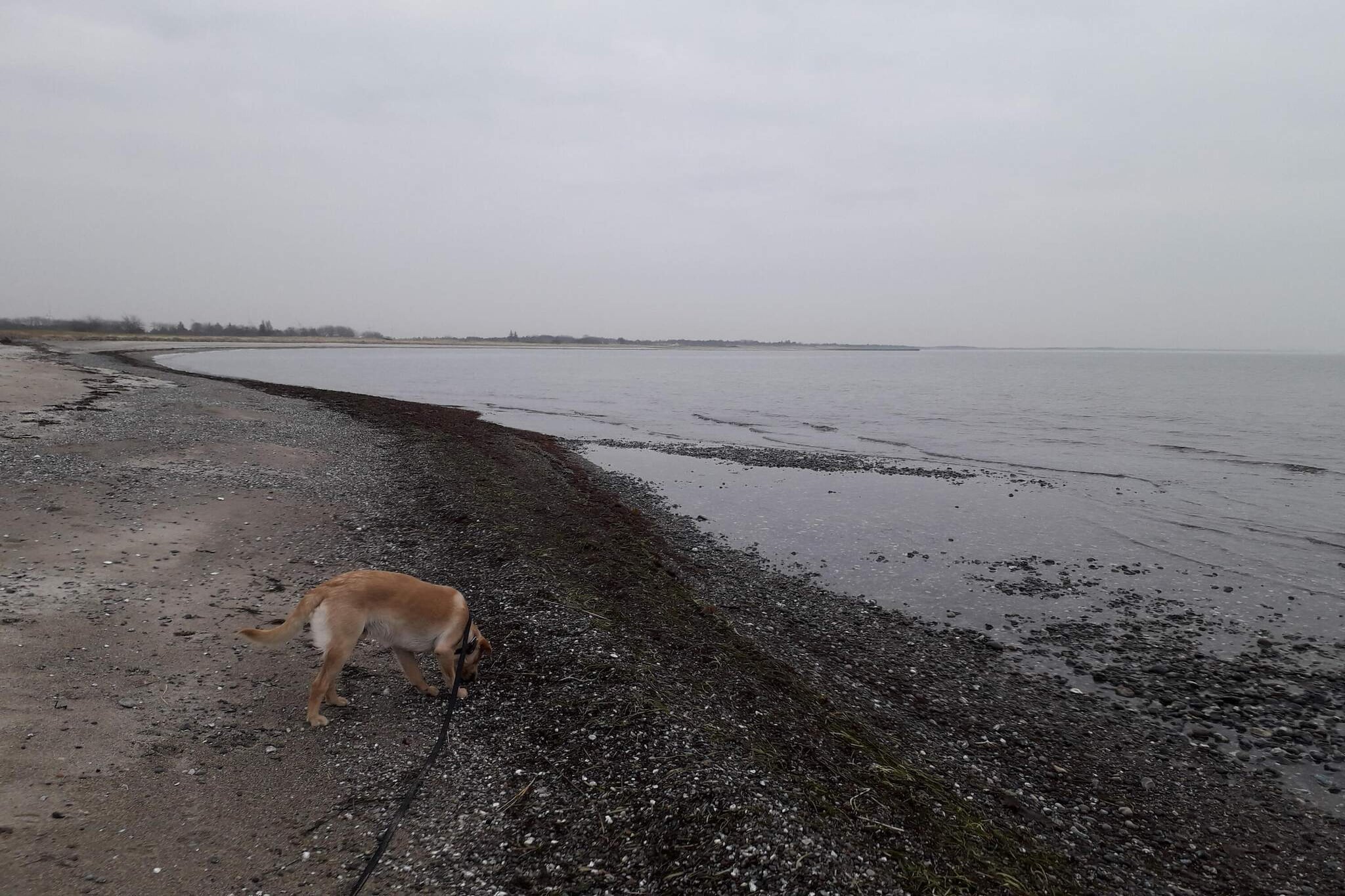 6 persoons vakantie huis in Rødby-By Traum-Waterzicht