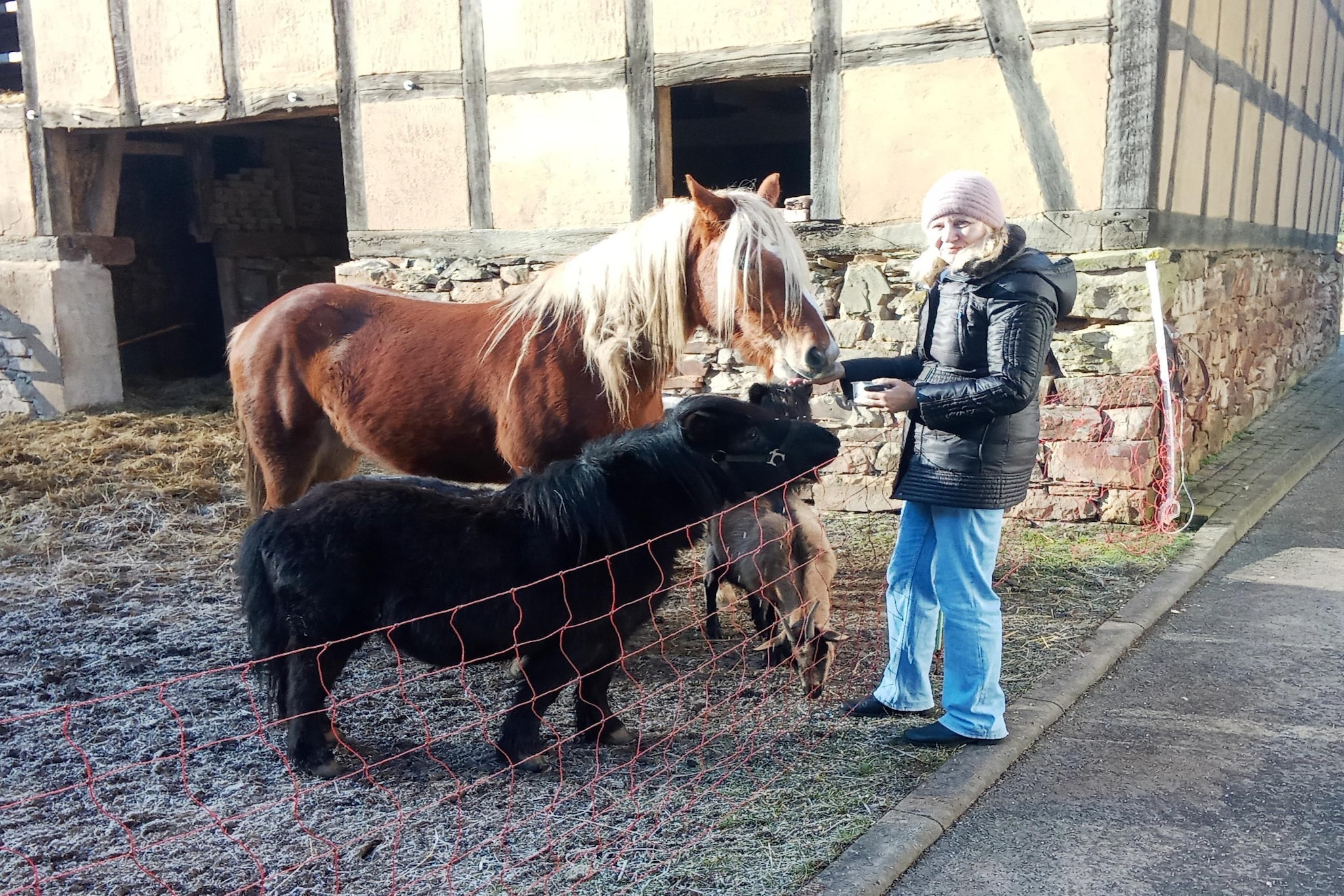 Am Ferienbauernhof FW 1 bis 7