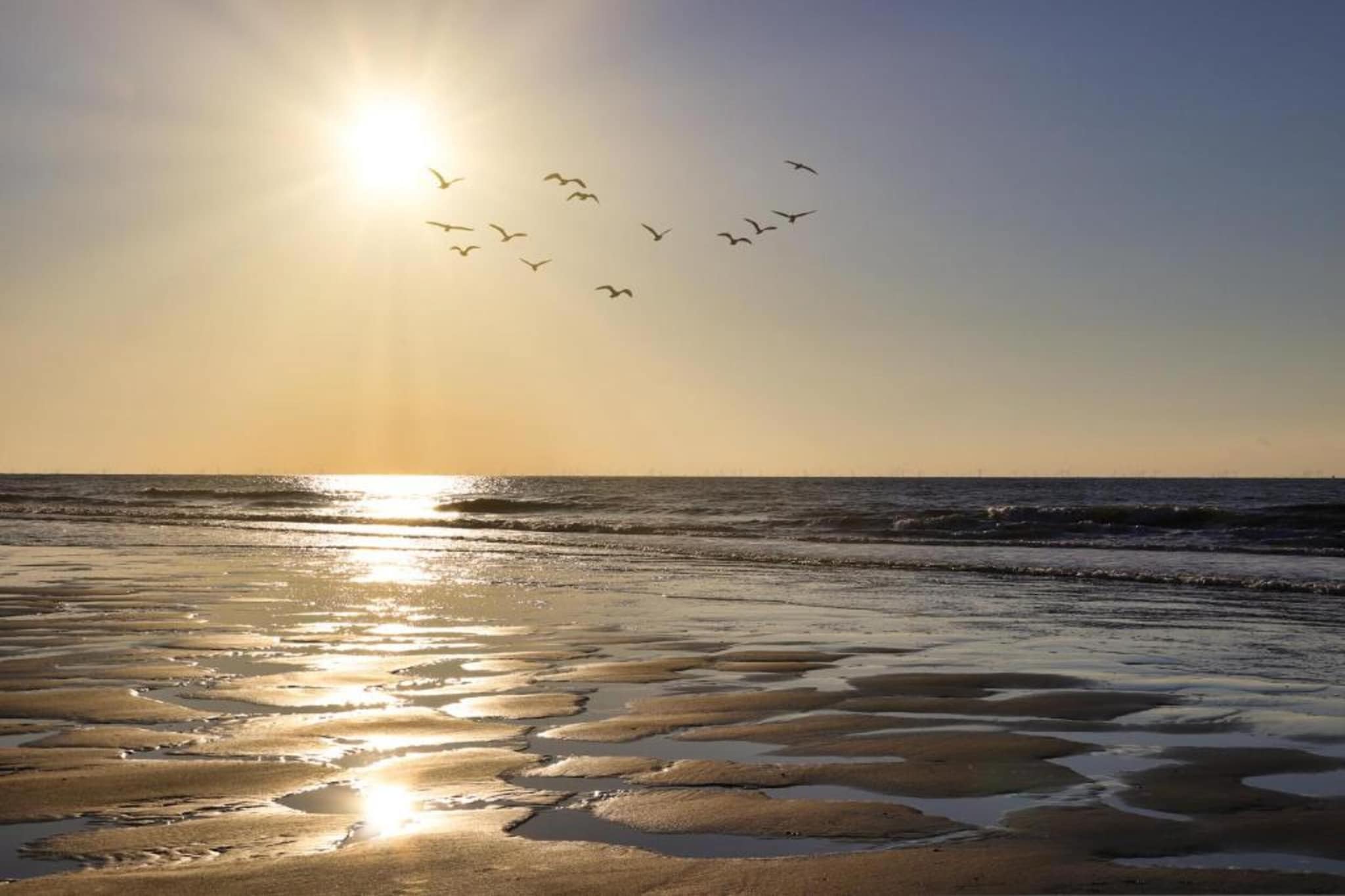 Noordzee Resort Vlissingen 3-Gebiete Sommer 20 km