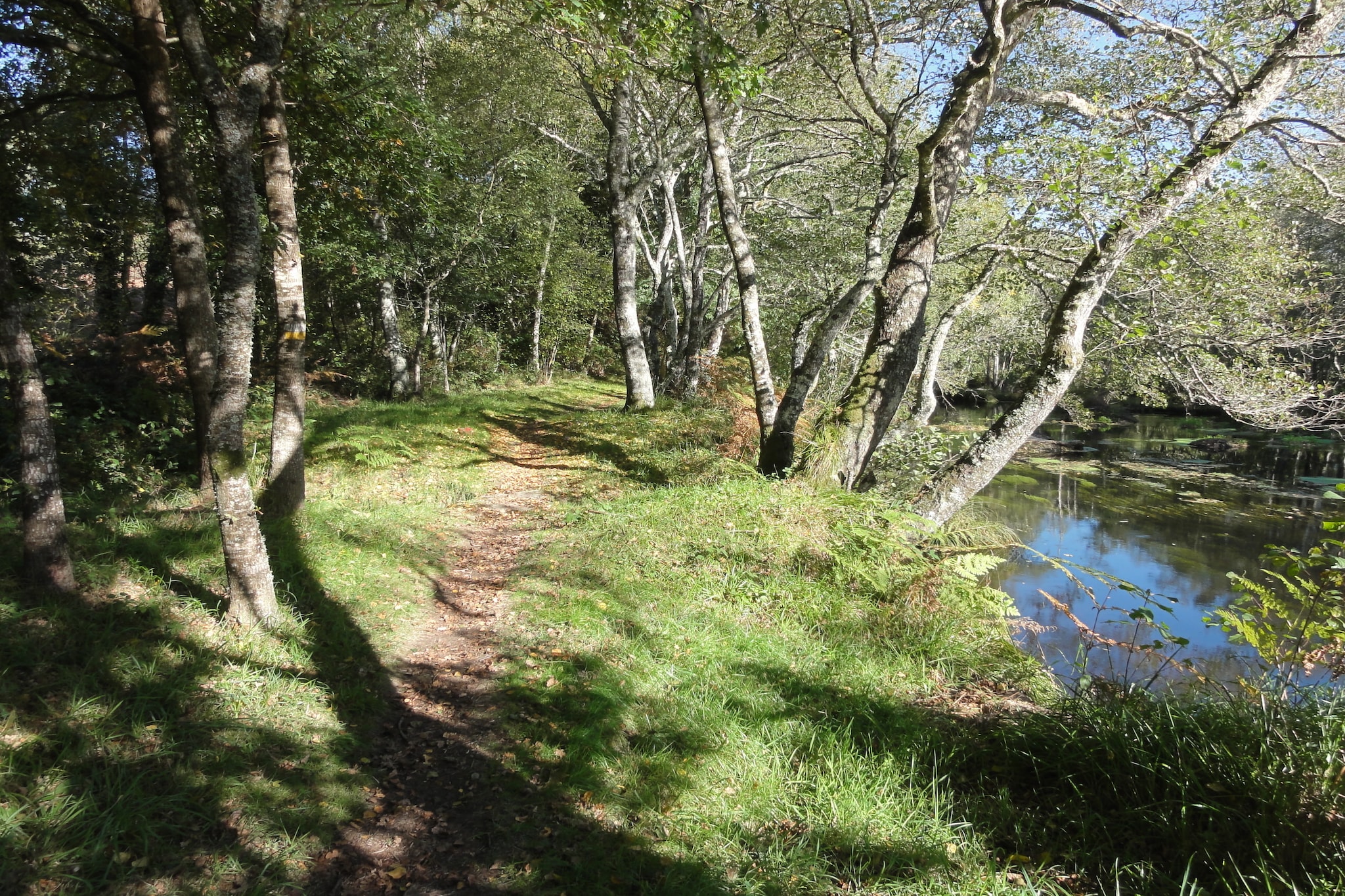 Casa Ribeira Sacra-Zones d'été à 1 km