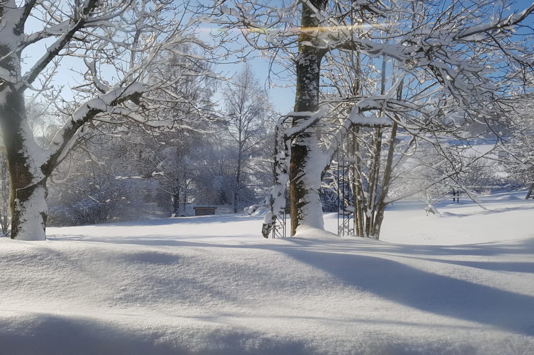 Waldferien-Aussicht Winter