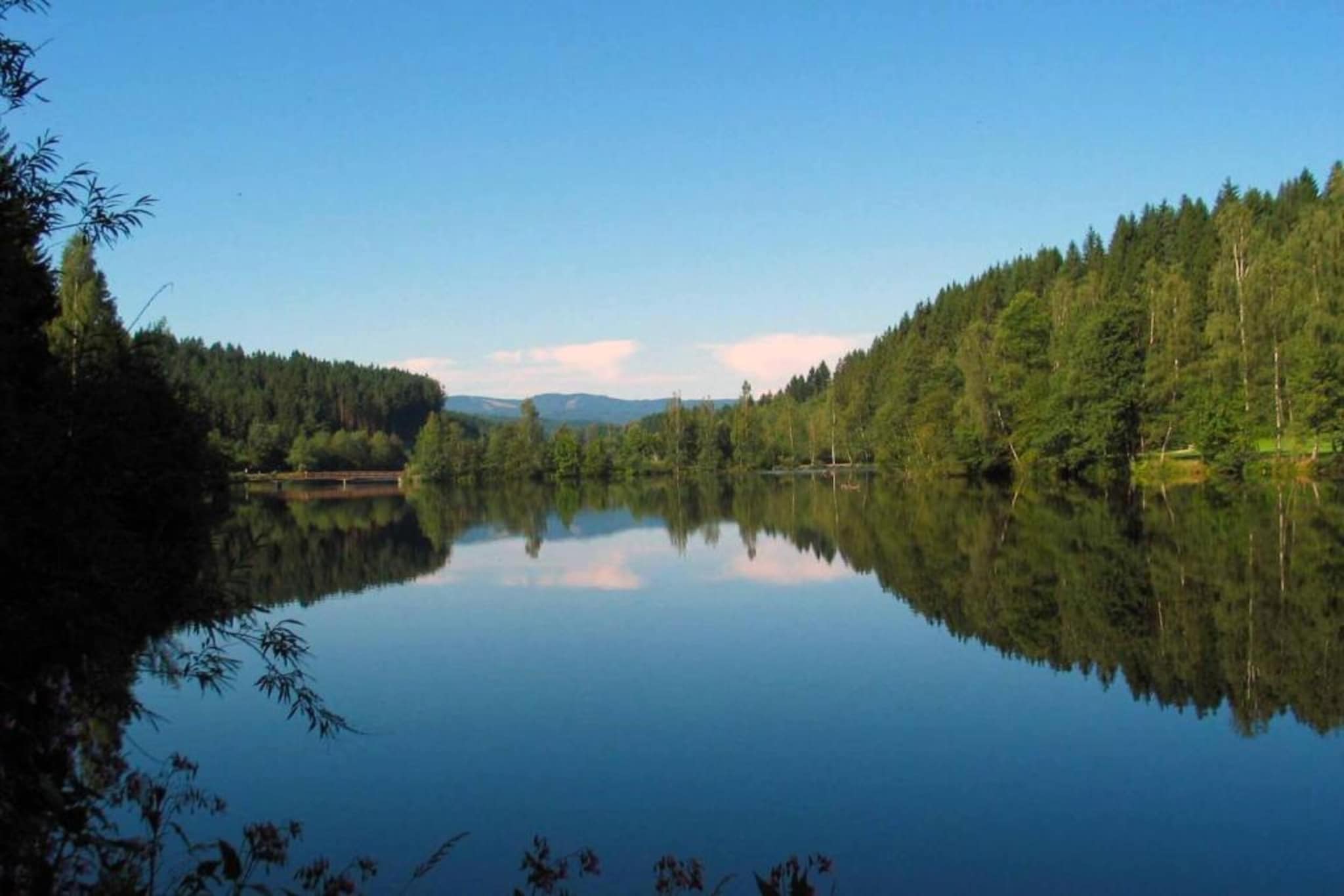 Waldferien-Gebiete Sommer 20 km
