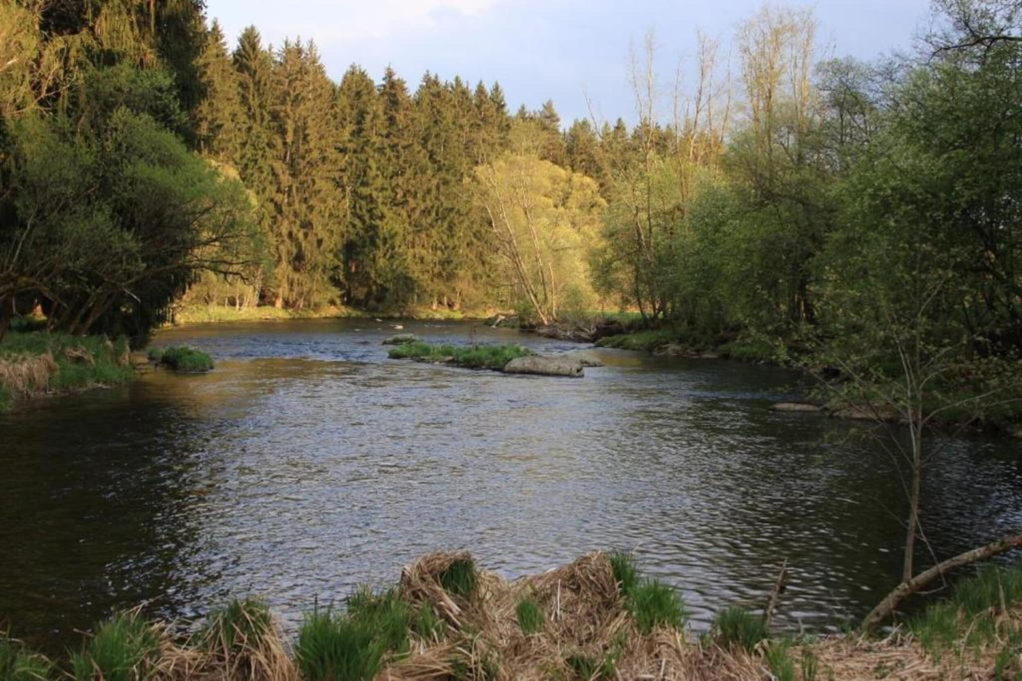 Waldferien-Gebiete Sommer 20 km