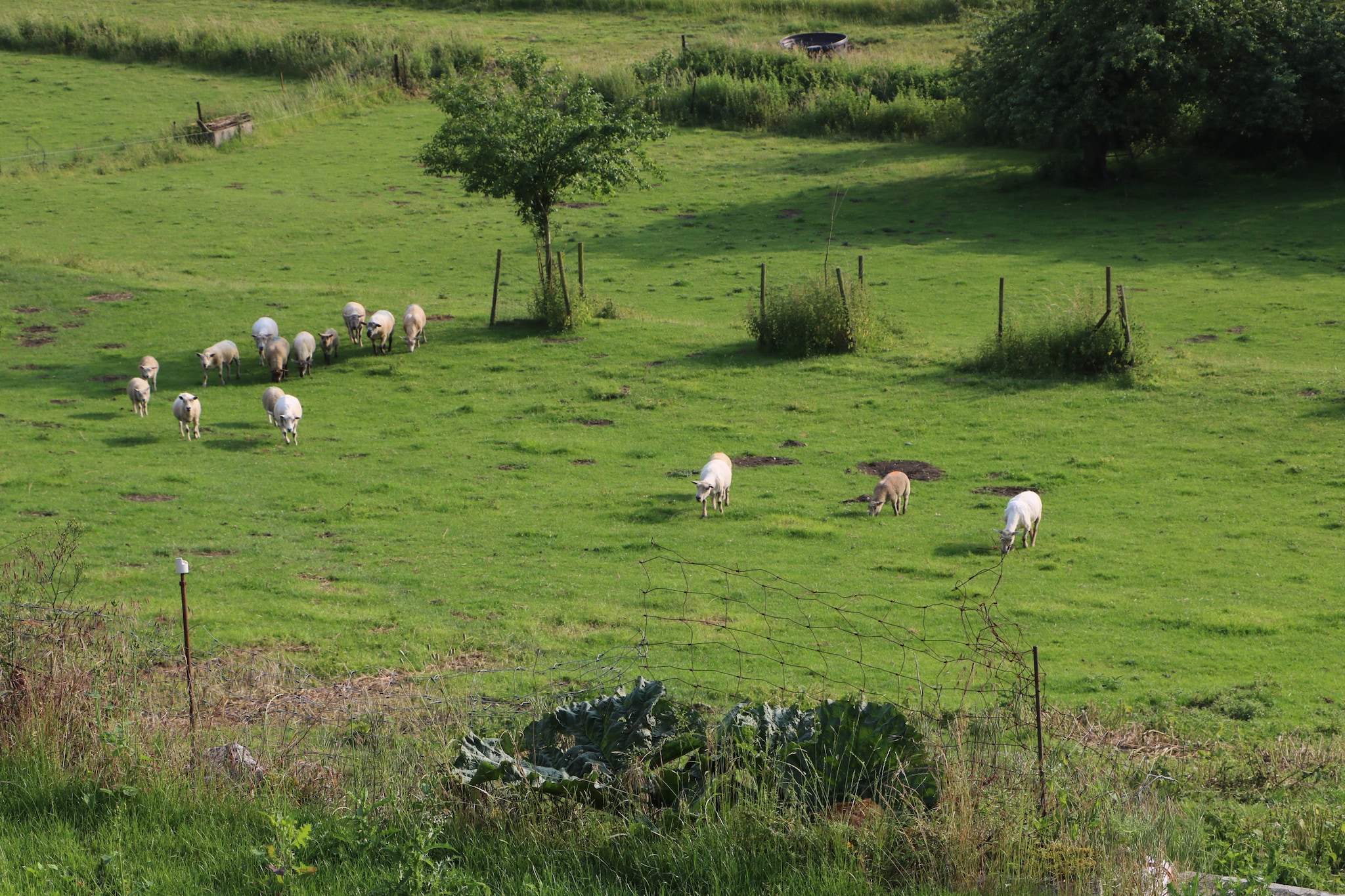 Le Gîte Mariette-View summer