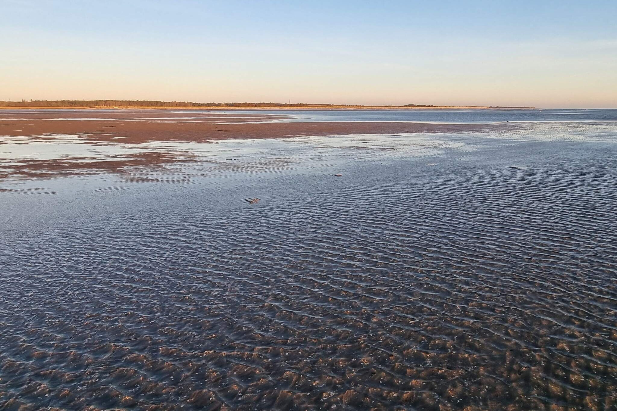 Water View