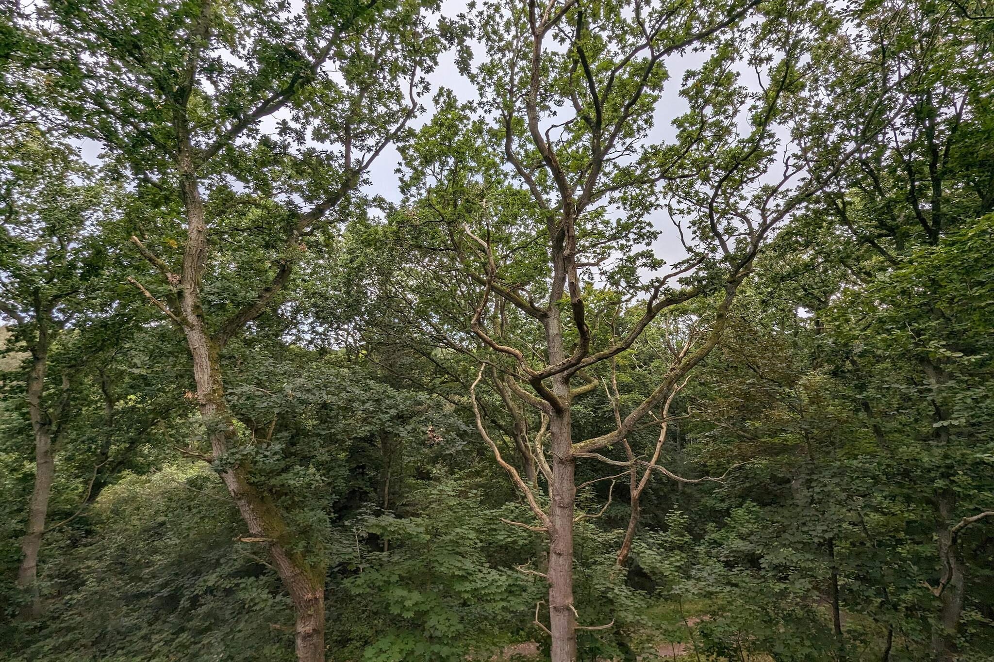 Maison de vacances pour 6 a Hadsund-Non tagué
