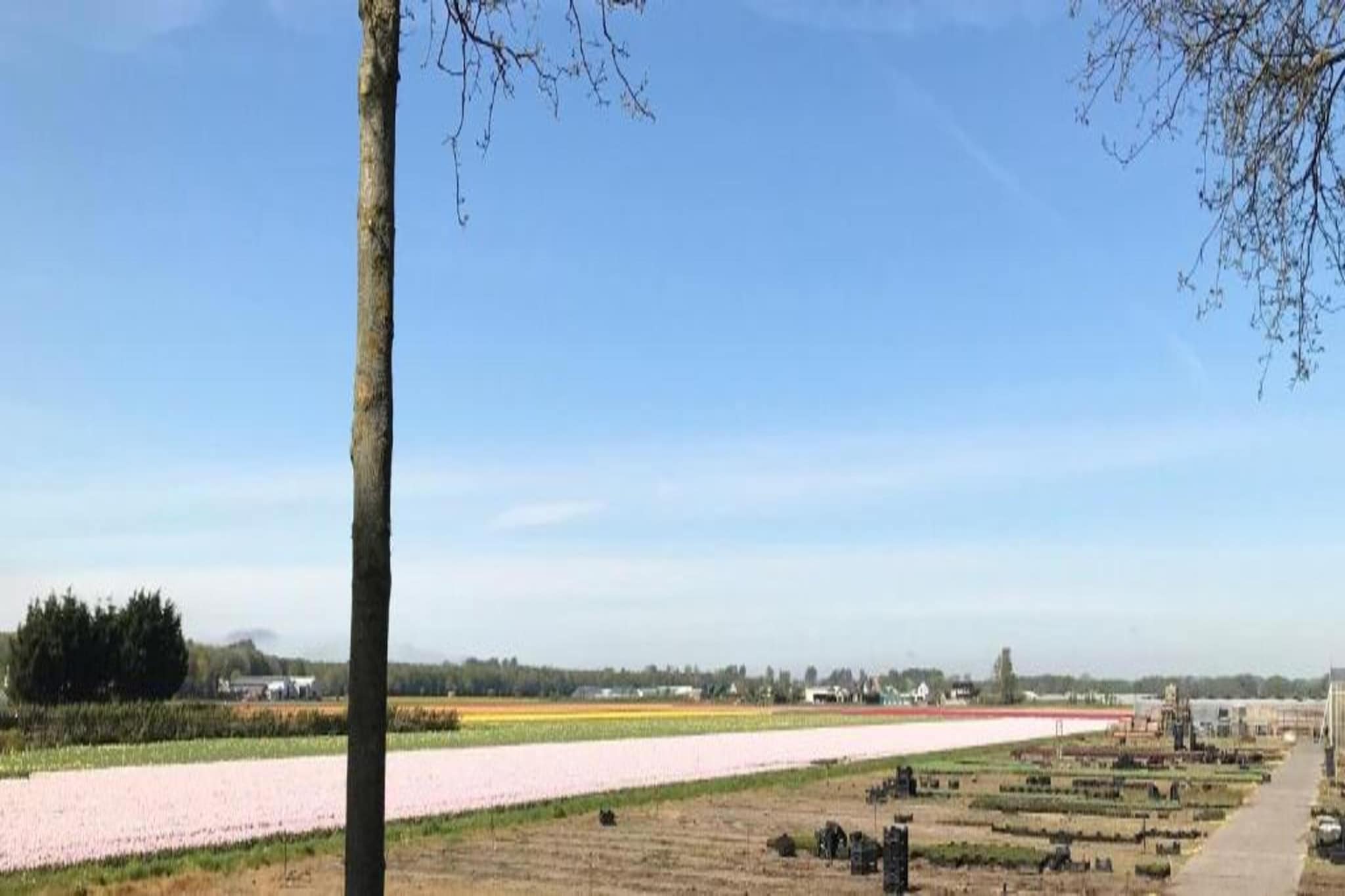 June's Cabin-Gebieden zomer 20km