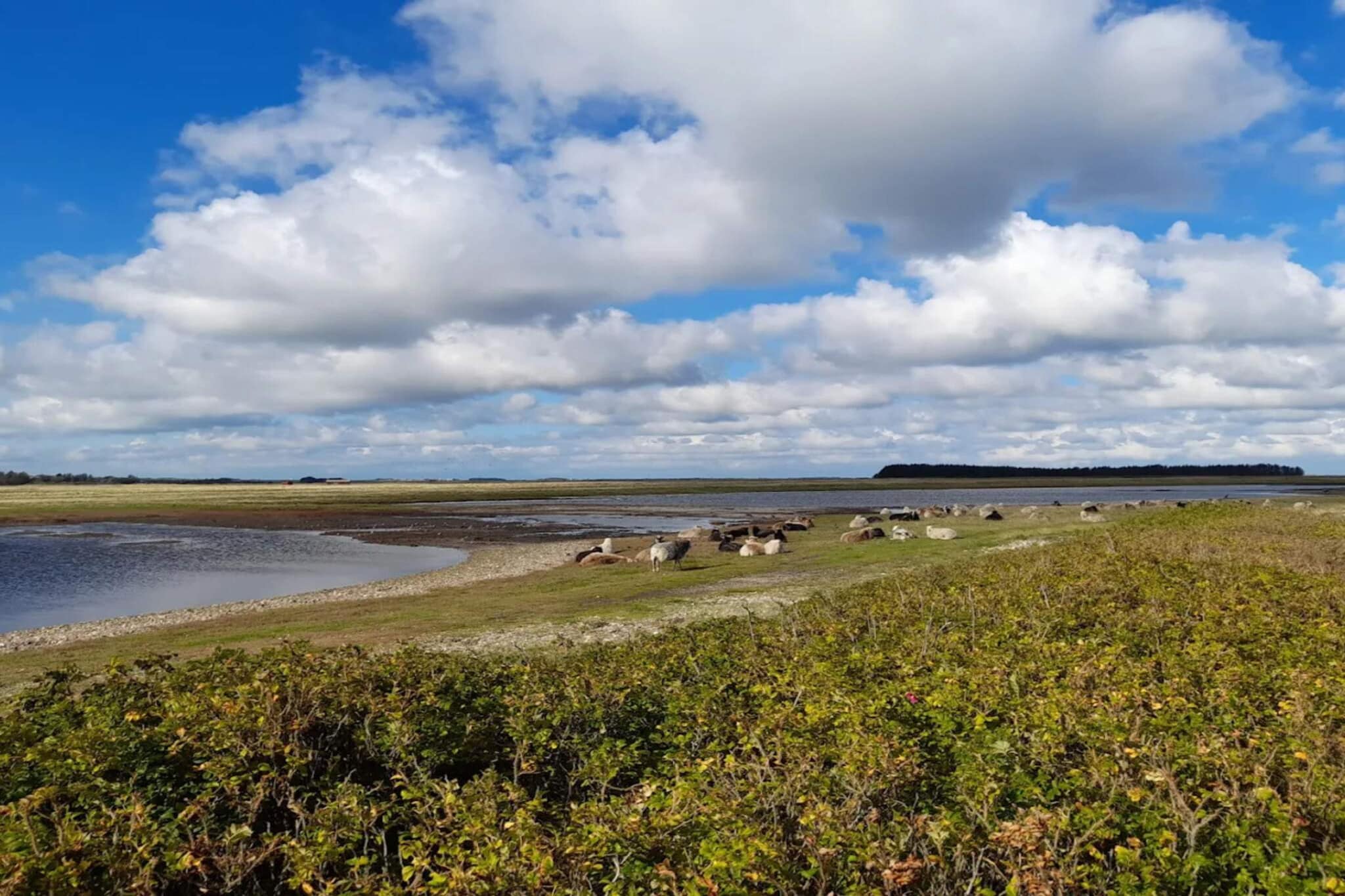 6 persoons vakantie huis in Lemvig-Waterzicht