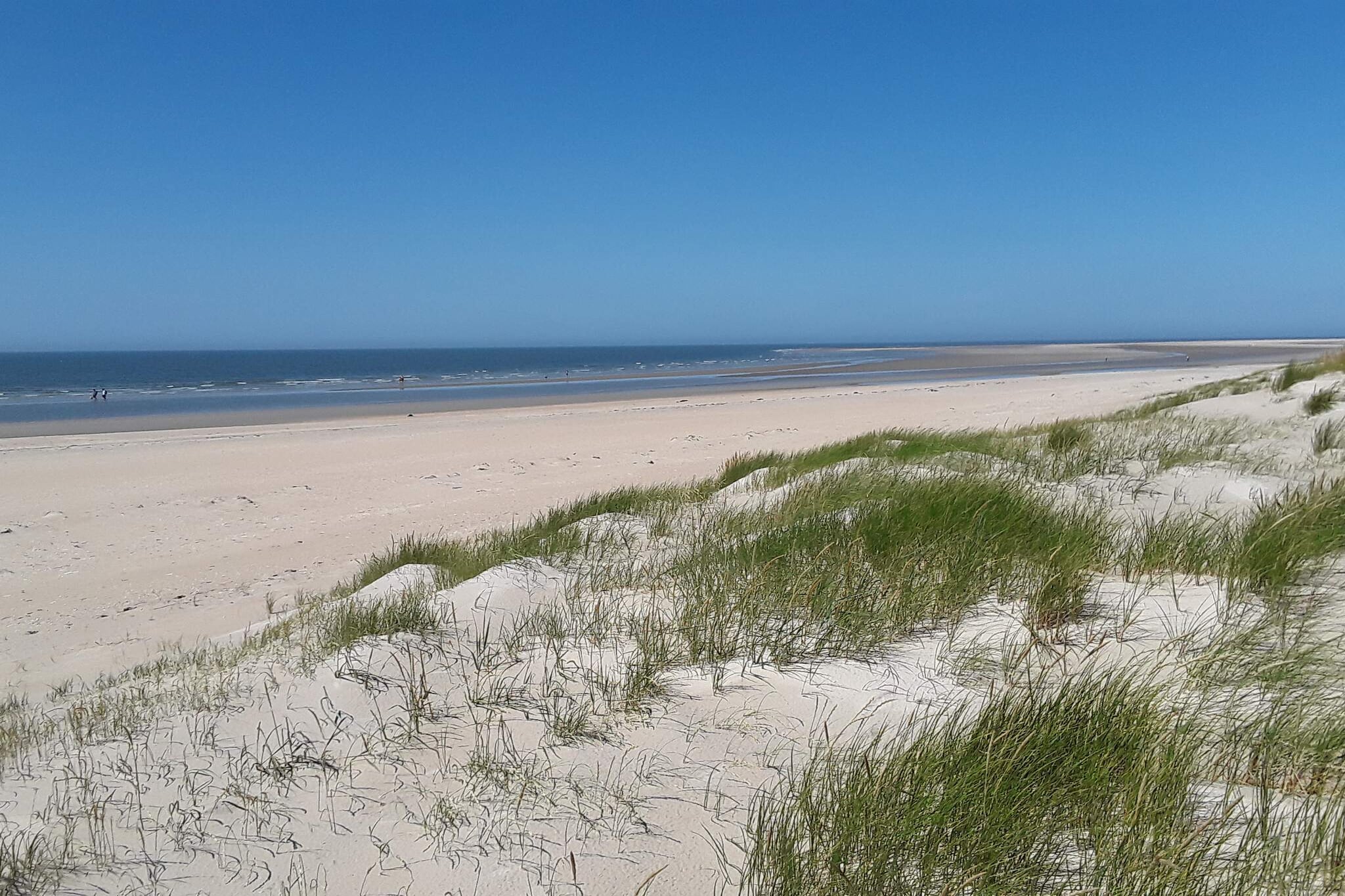 Maison de vacances pour 4 a Rømø-Non tagué