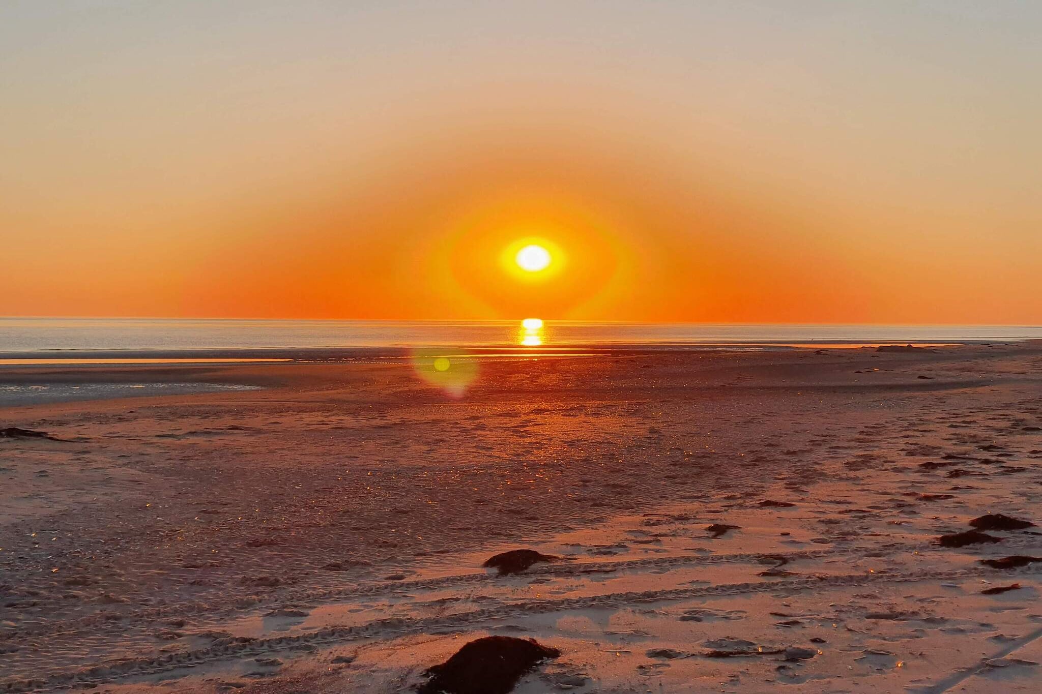 Maison de vacances pour 4 a Rømø-Vue sur l'eau