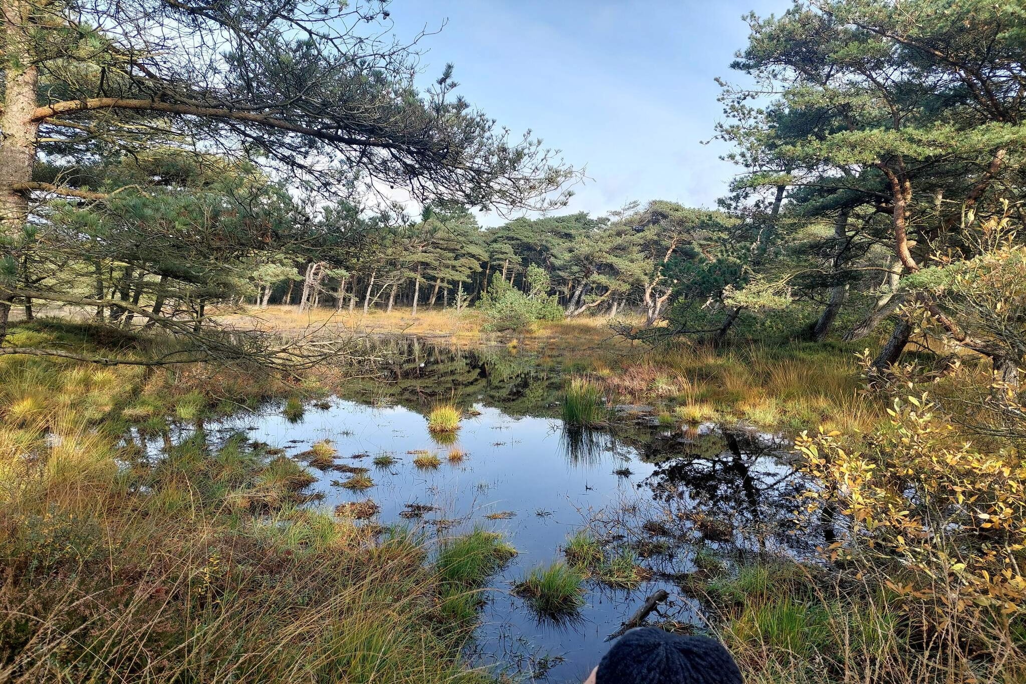 Maison de vacances pour 4 a Rømø-Vue sur l'eau