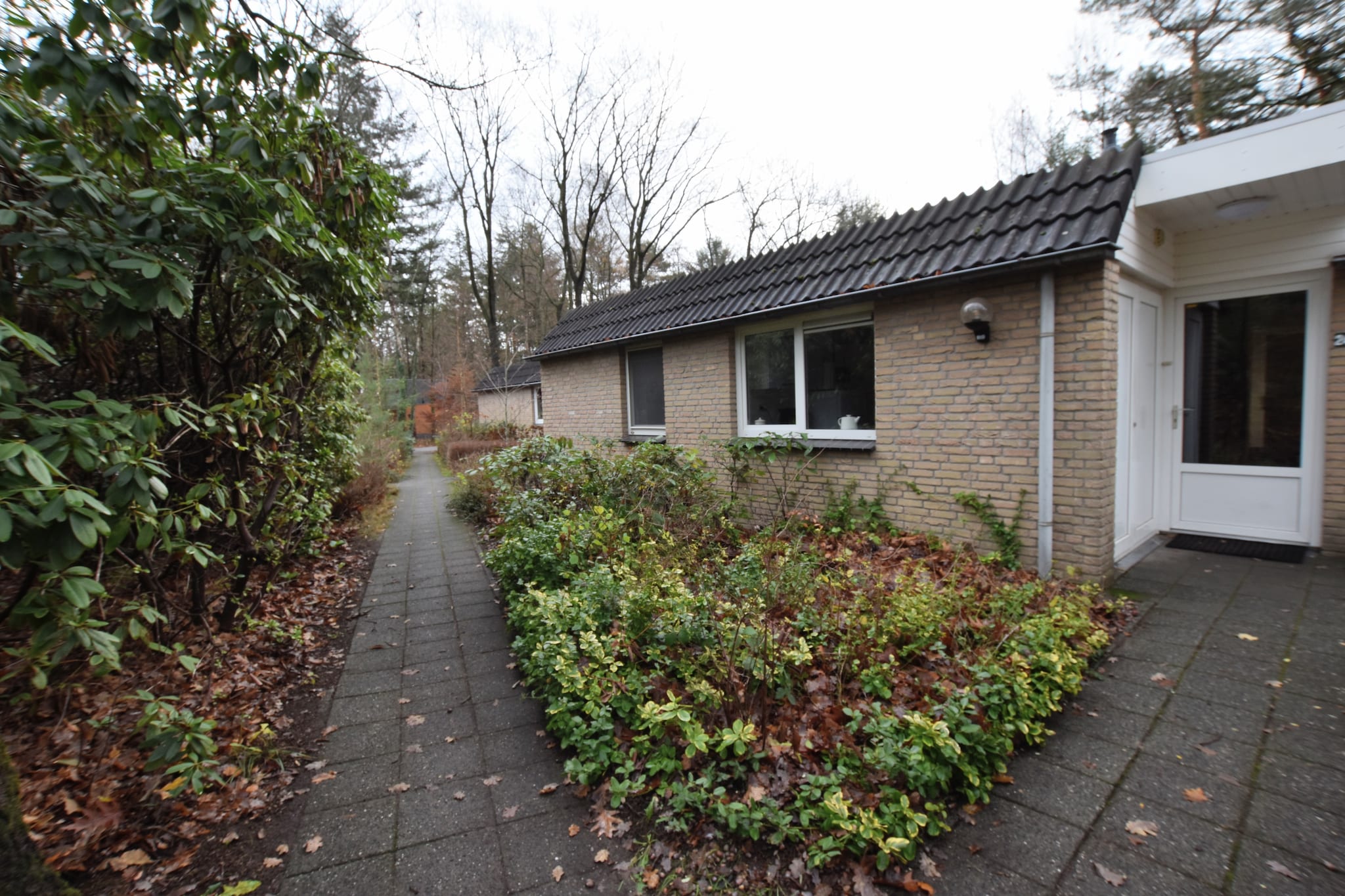 Bungalow Bosrijk-Buitenkant zomer