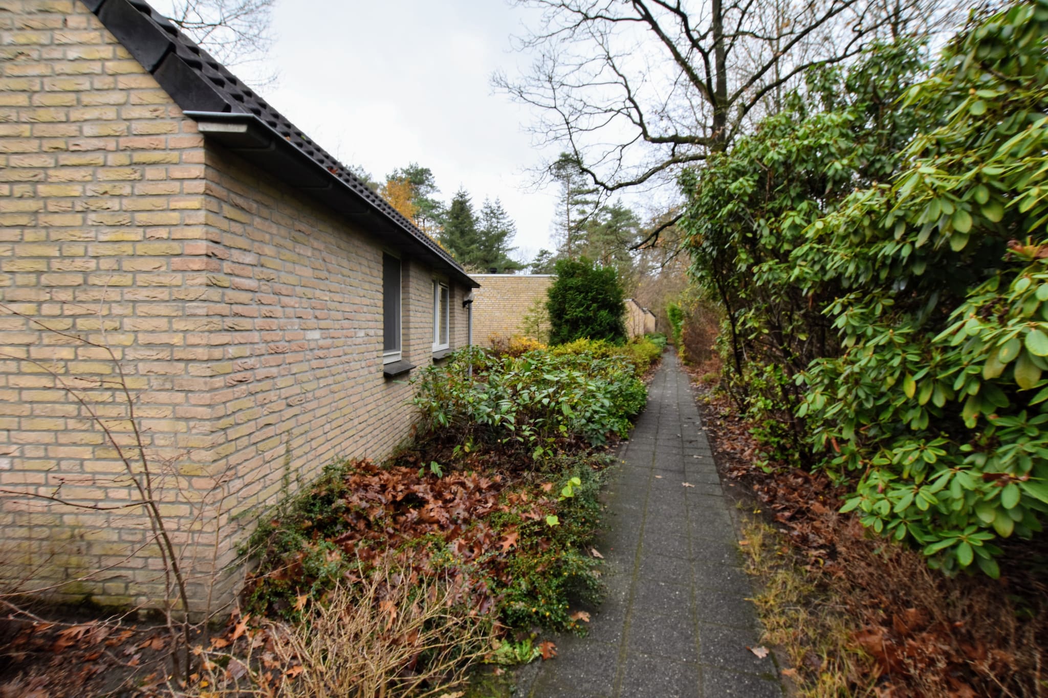Bungalow Bosrijk-Buitenkant zomer