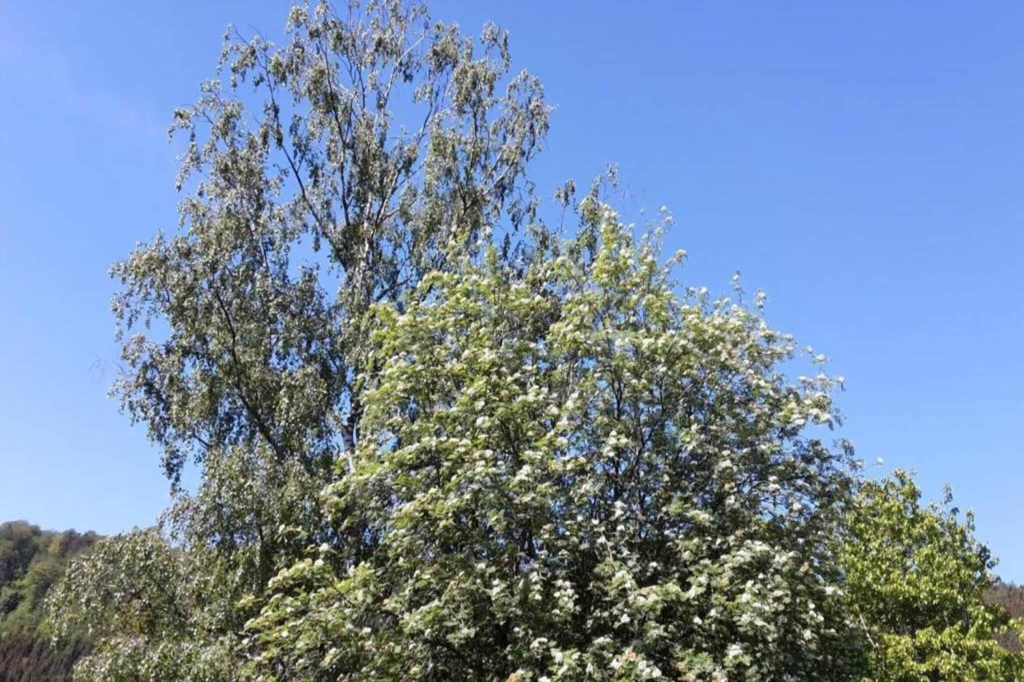 Der kleine ULI-Gebieden zomer 20km