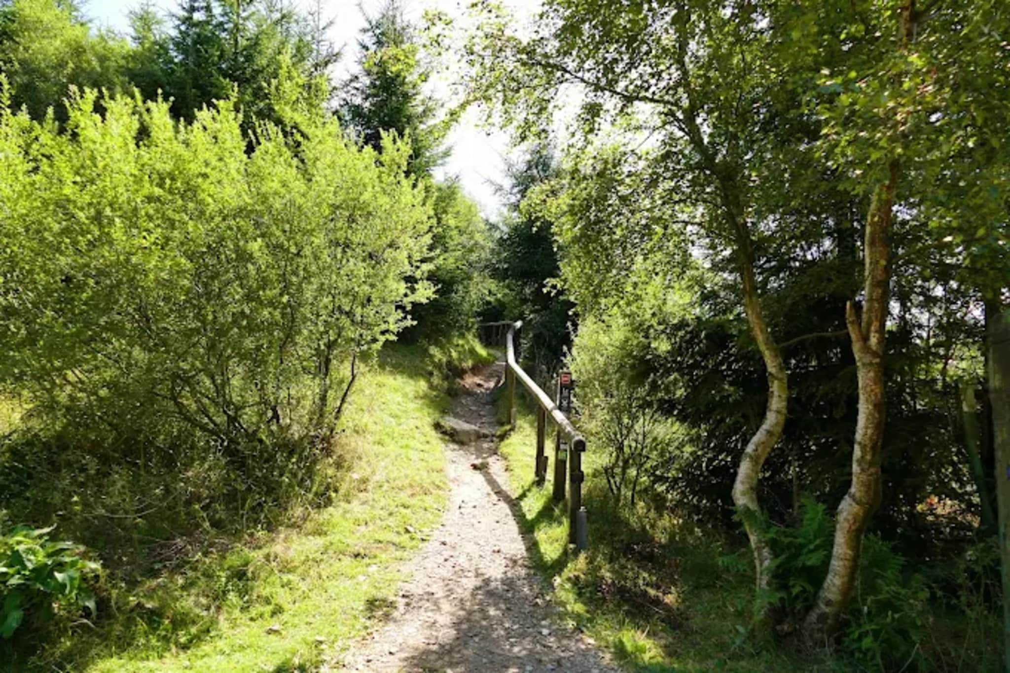 Buchenweg 13 - Kappenblick-Gebieden zomer 5km