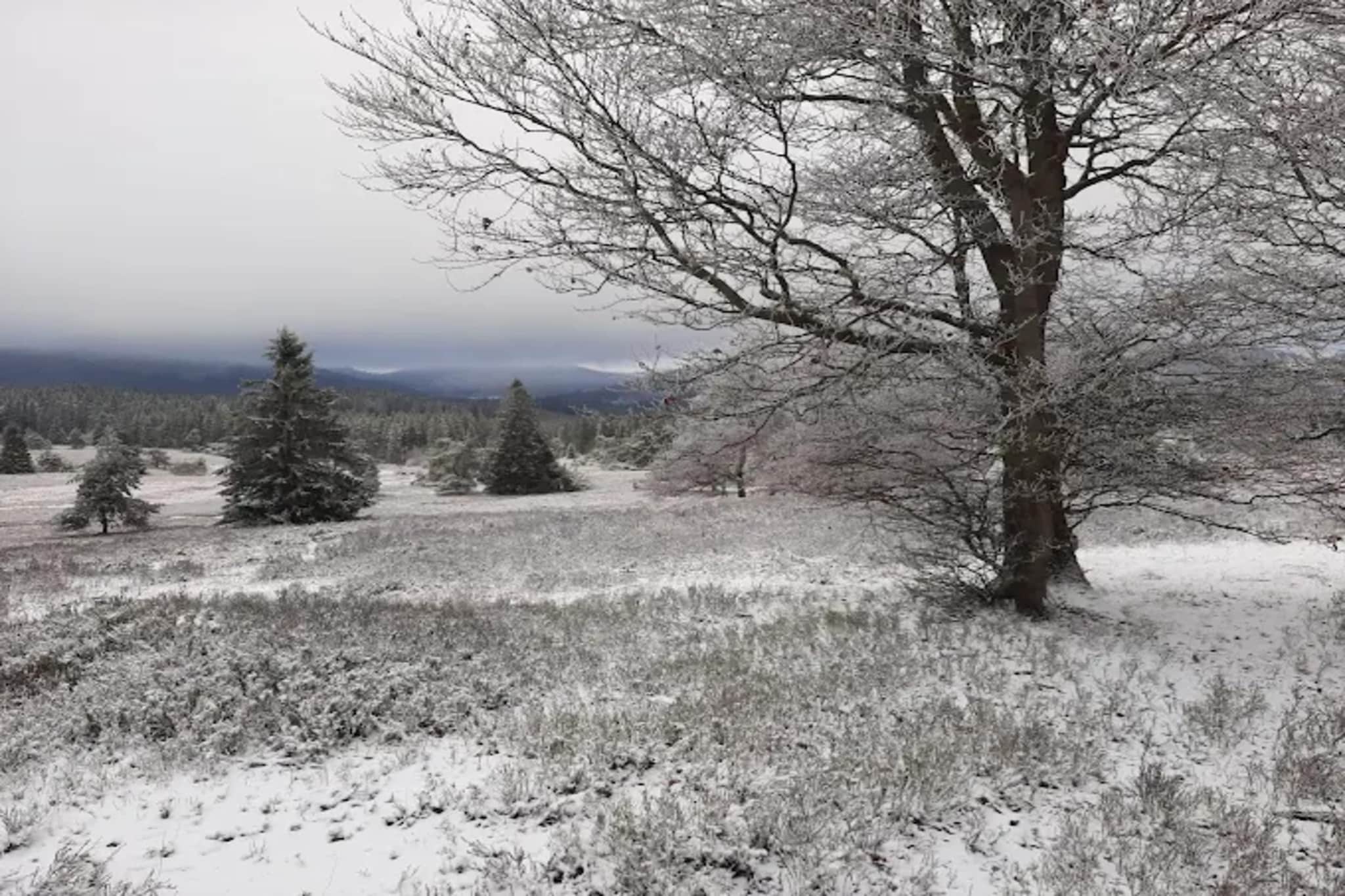 Buchenweg 13 - Kappenblick-Gebied winter 5km