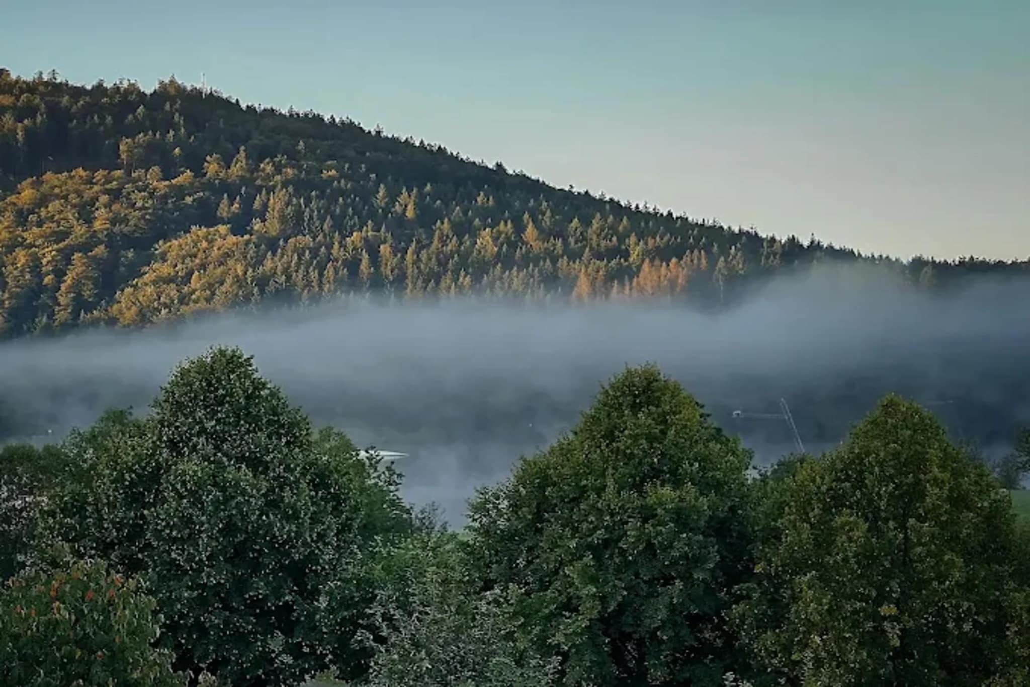 Buchenweg 13 - Kappenblick-Gebieden zomer 5km
