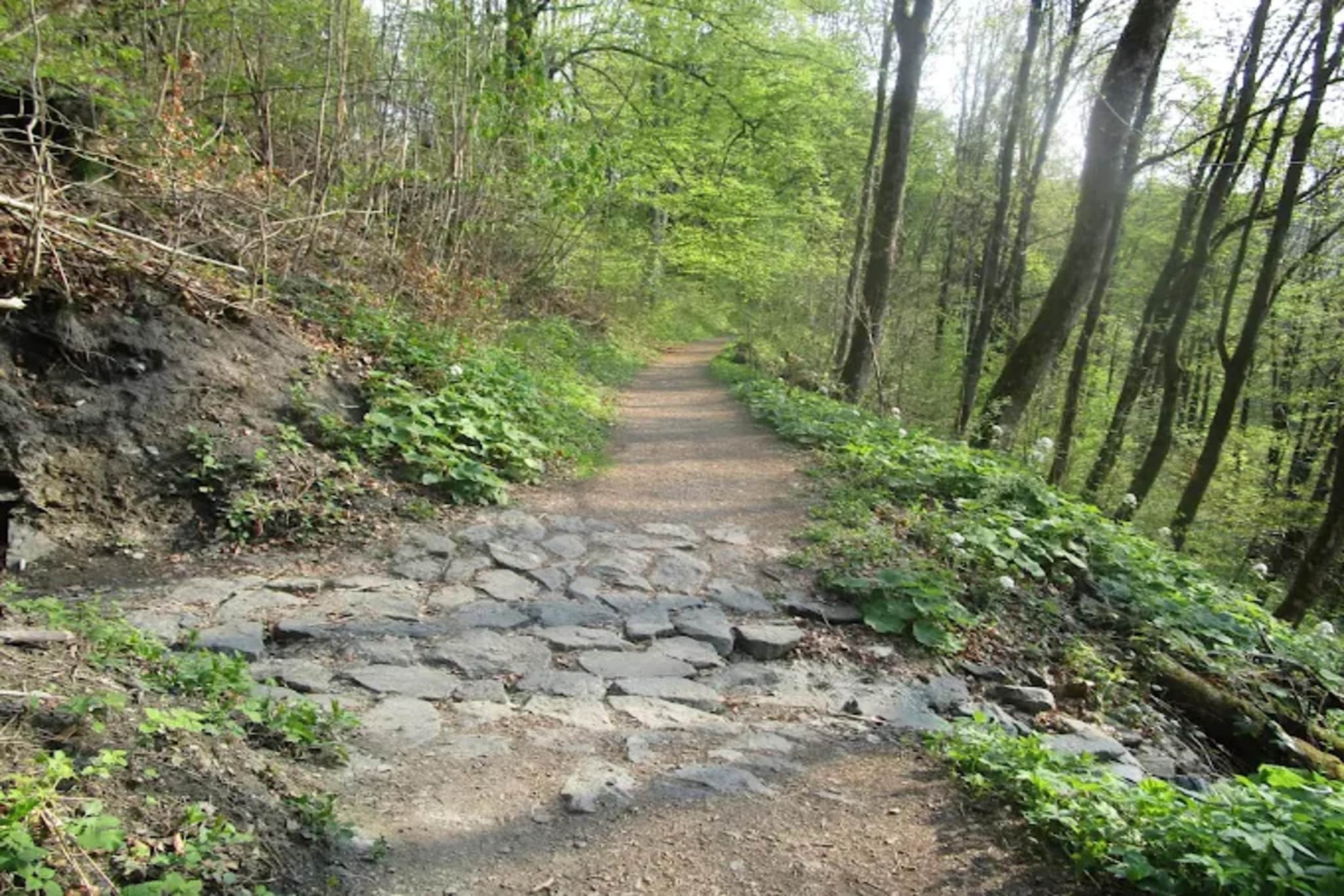 Buchenweg 13 - Kappenblick-Gebieden zomer 5km