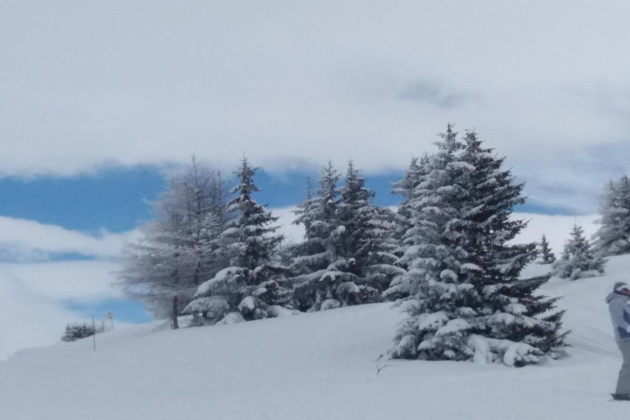 Les Lions Blancs-Gebied winter 20km
