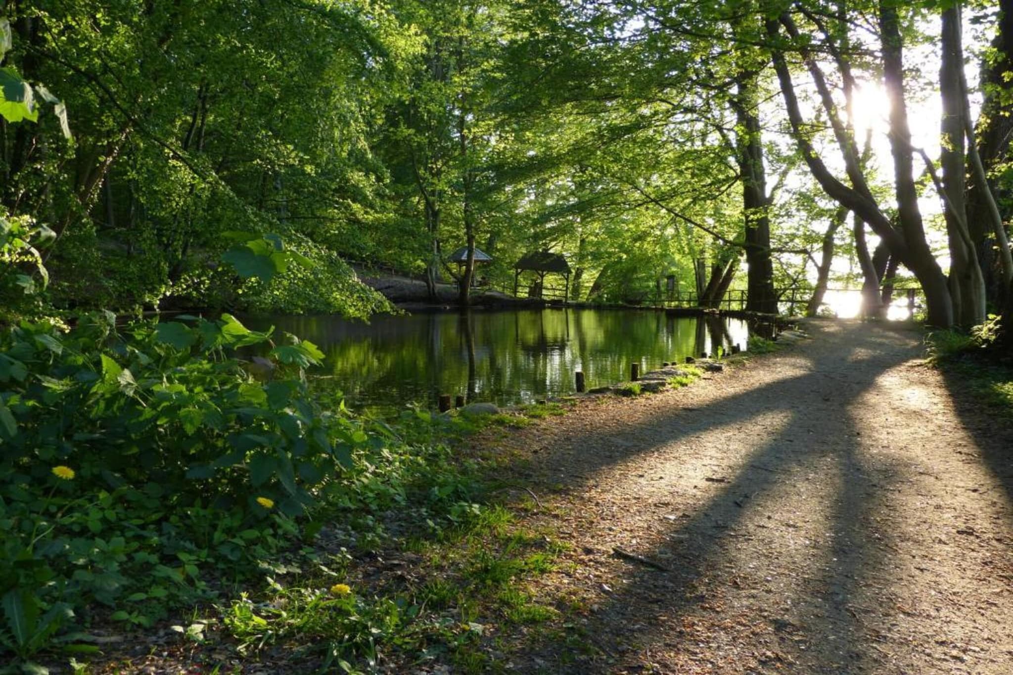 Ostseezauber XL-Gebieden zomer 20km