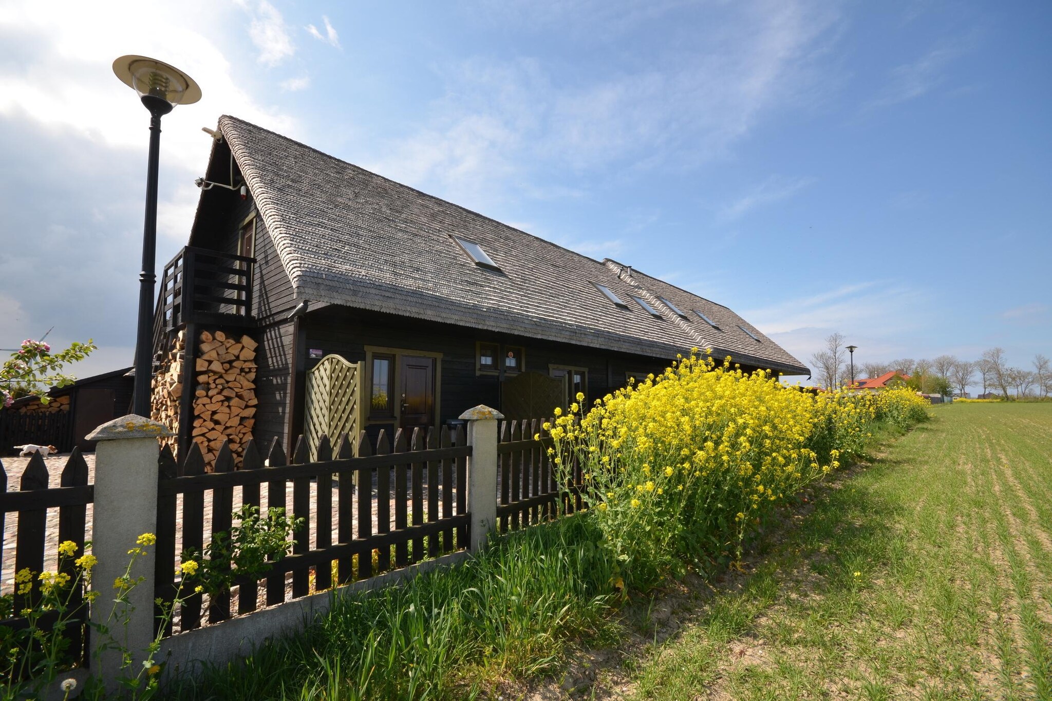 Studio-Exterior summer