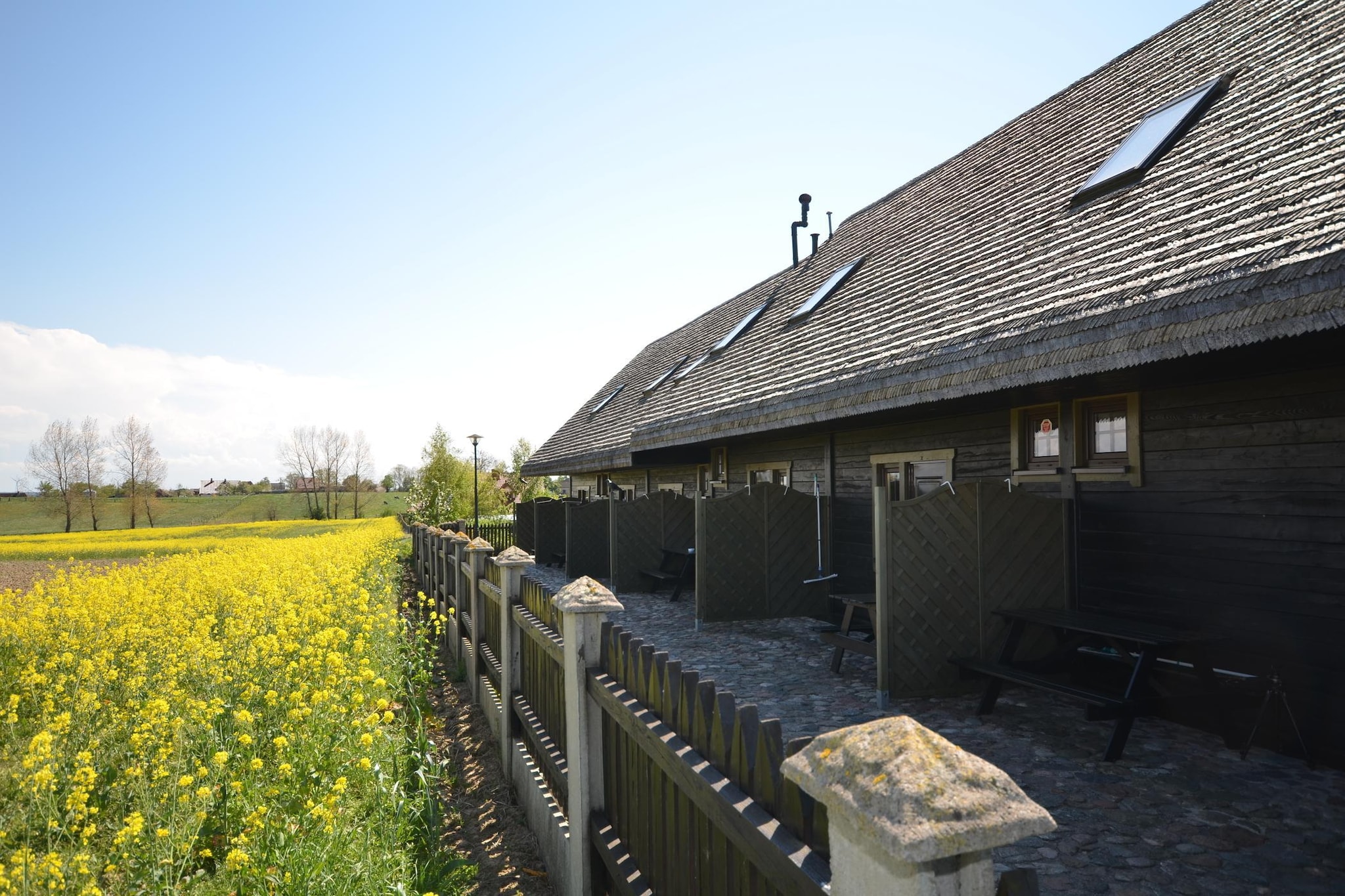 Studio-View summer