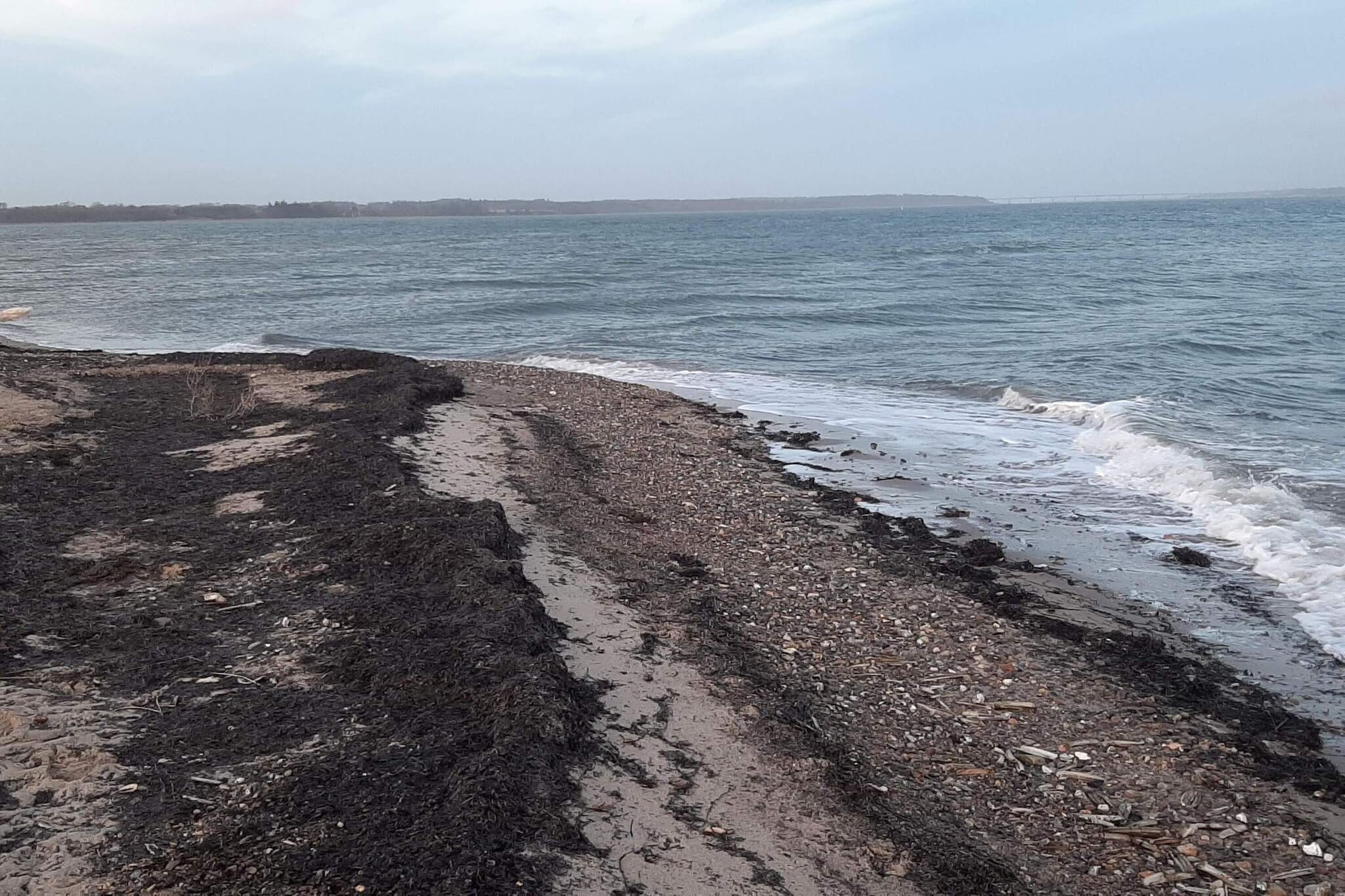 24 persoons vakantie huis in Øster Assels-Waterzicht