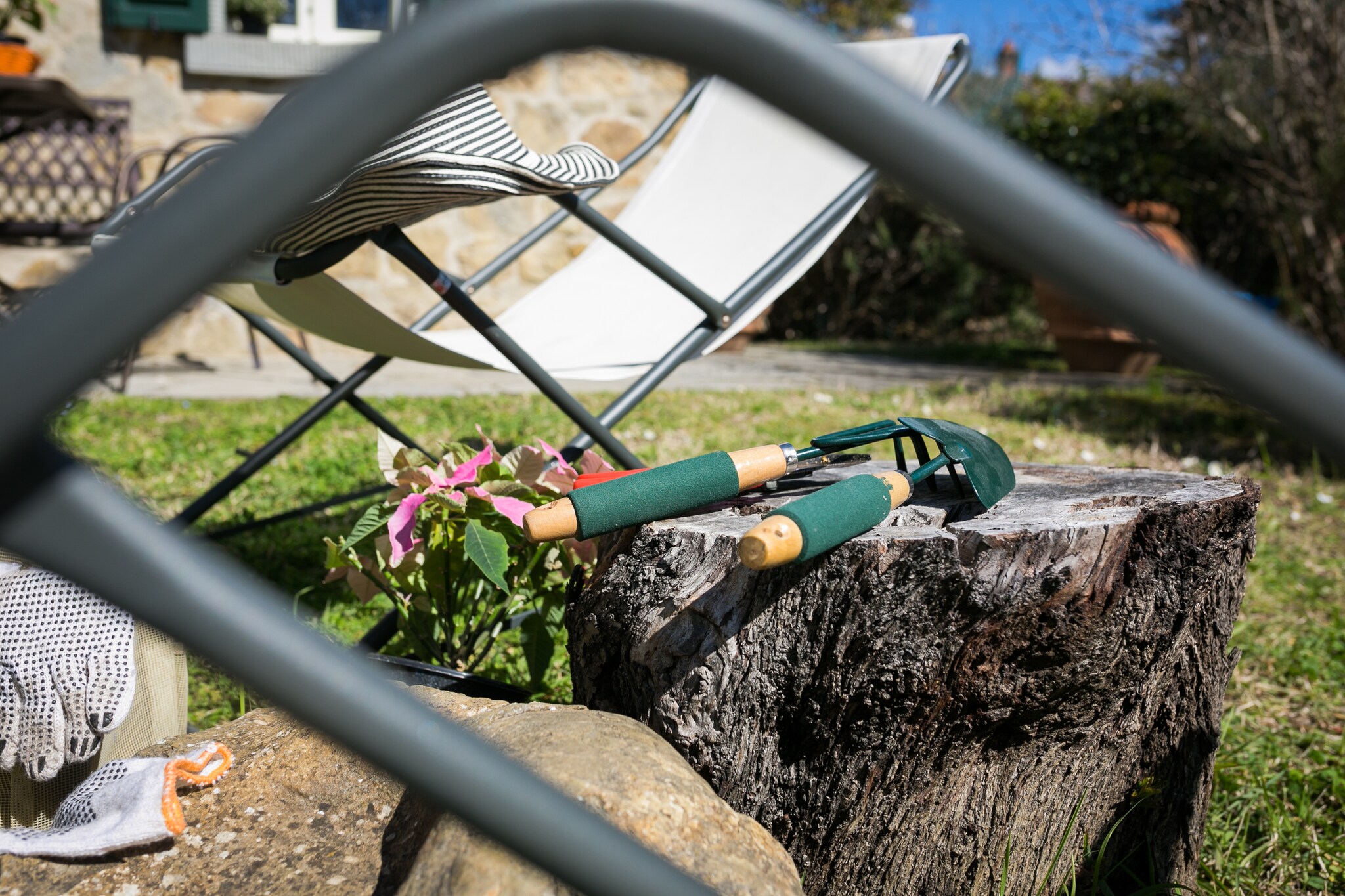 Garden Summer