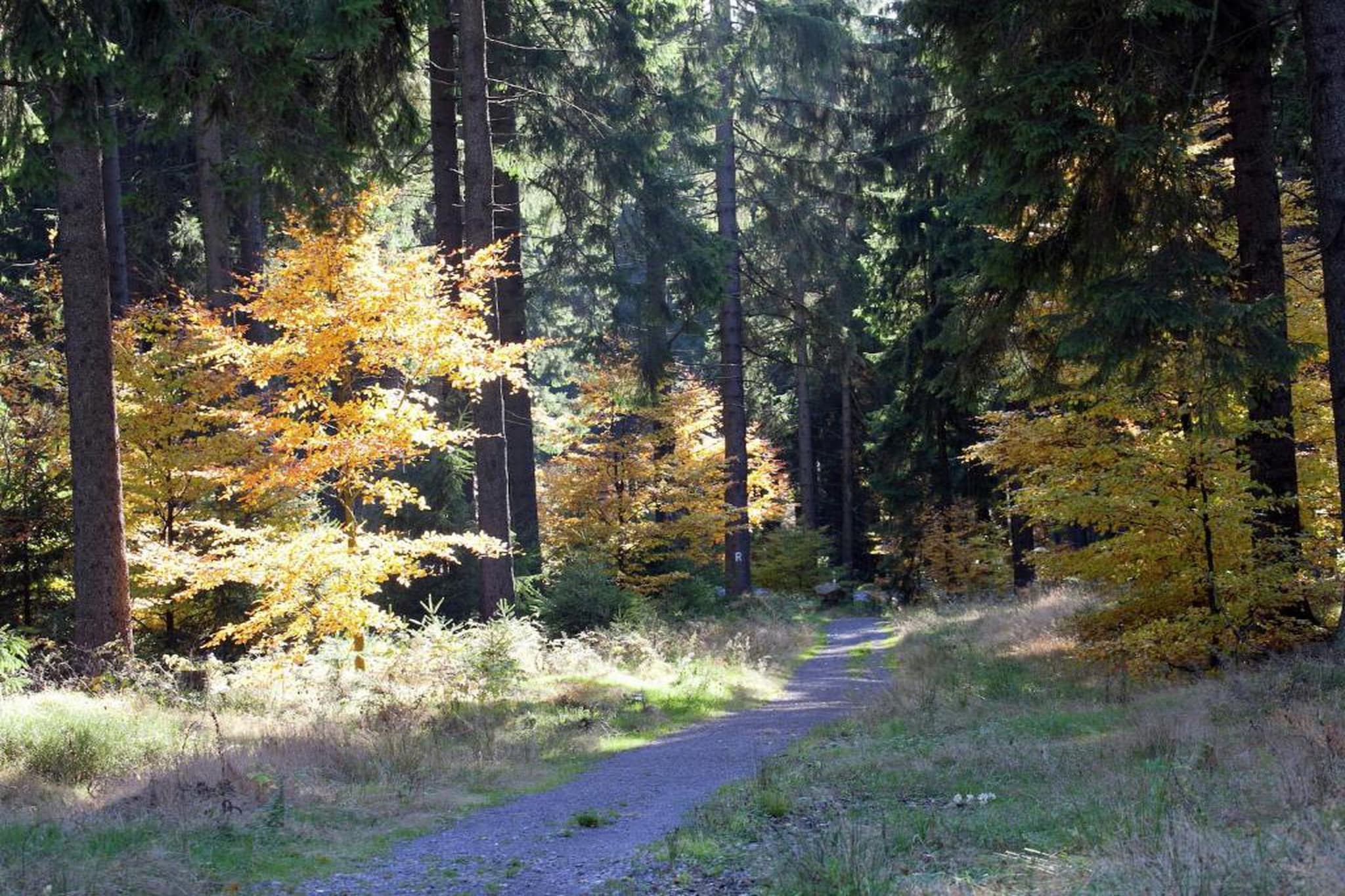 Ferienwohnung Schönbrunn-Gebiete Sommer 20 km