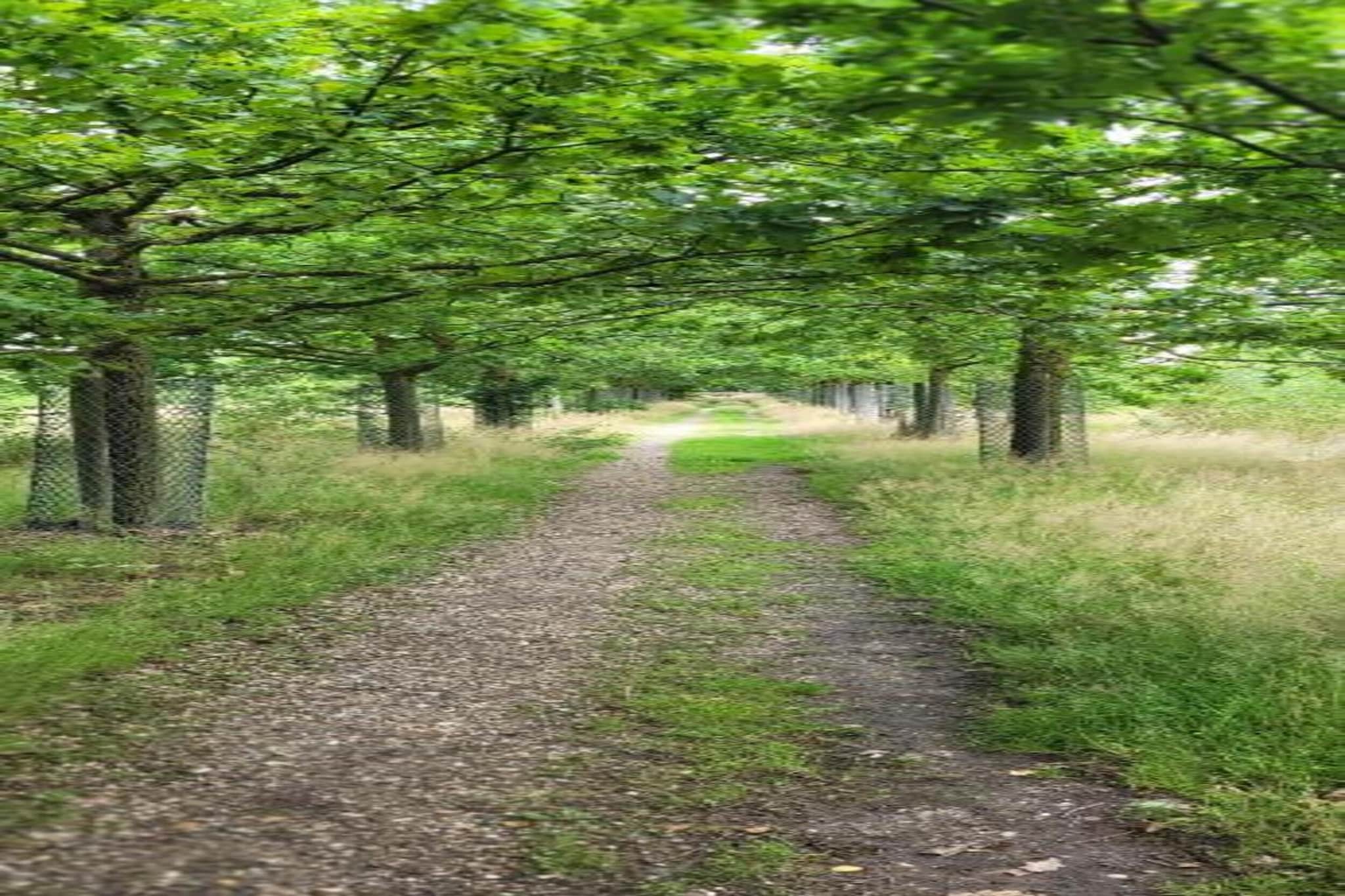 Vakantiepark Sandberghe 8-Gebieden zomer 20km