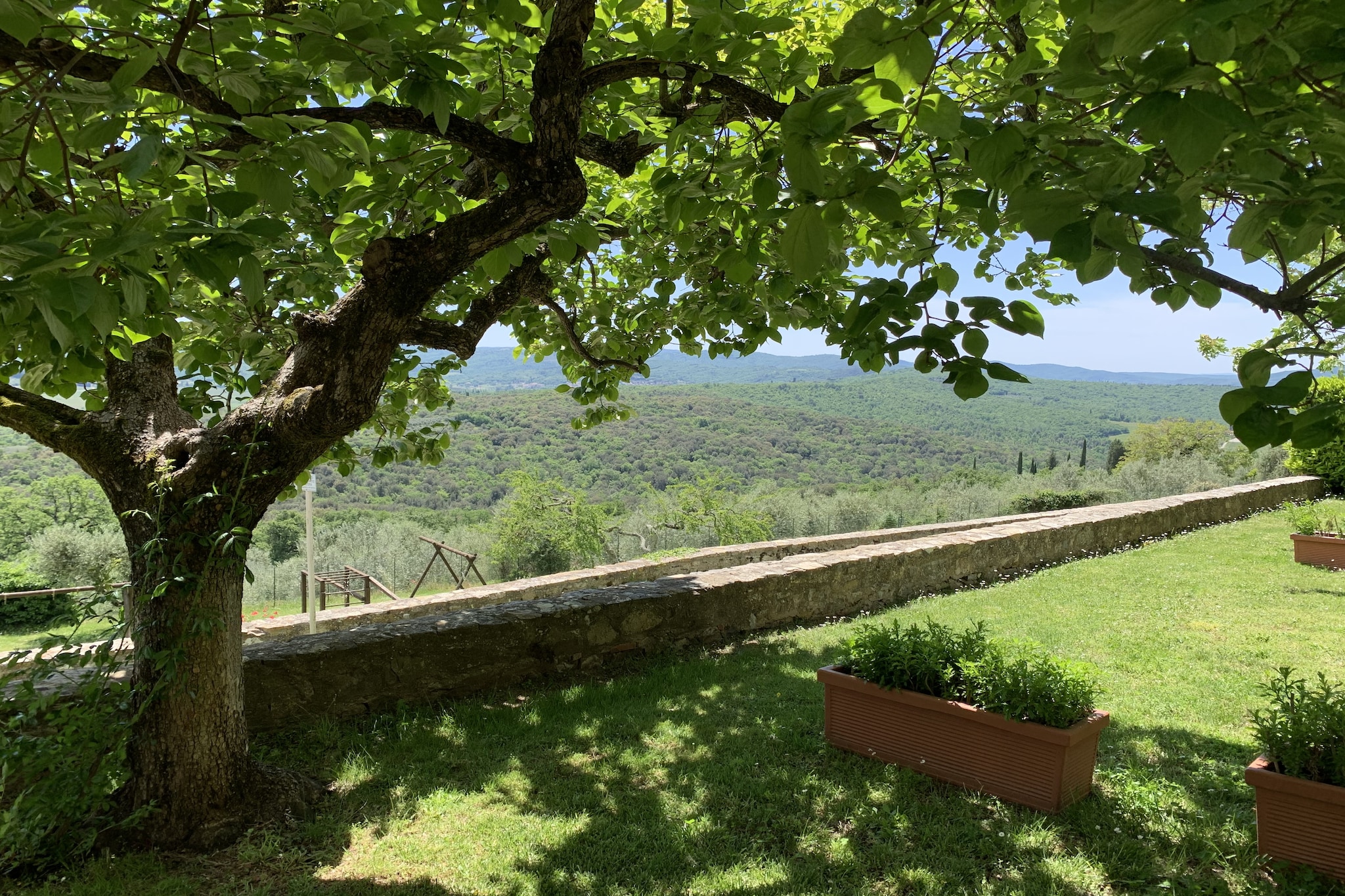 Garden Summer