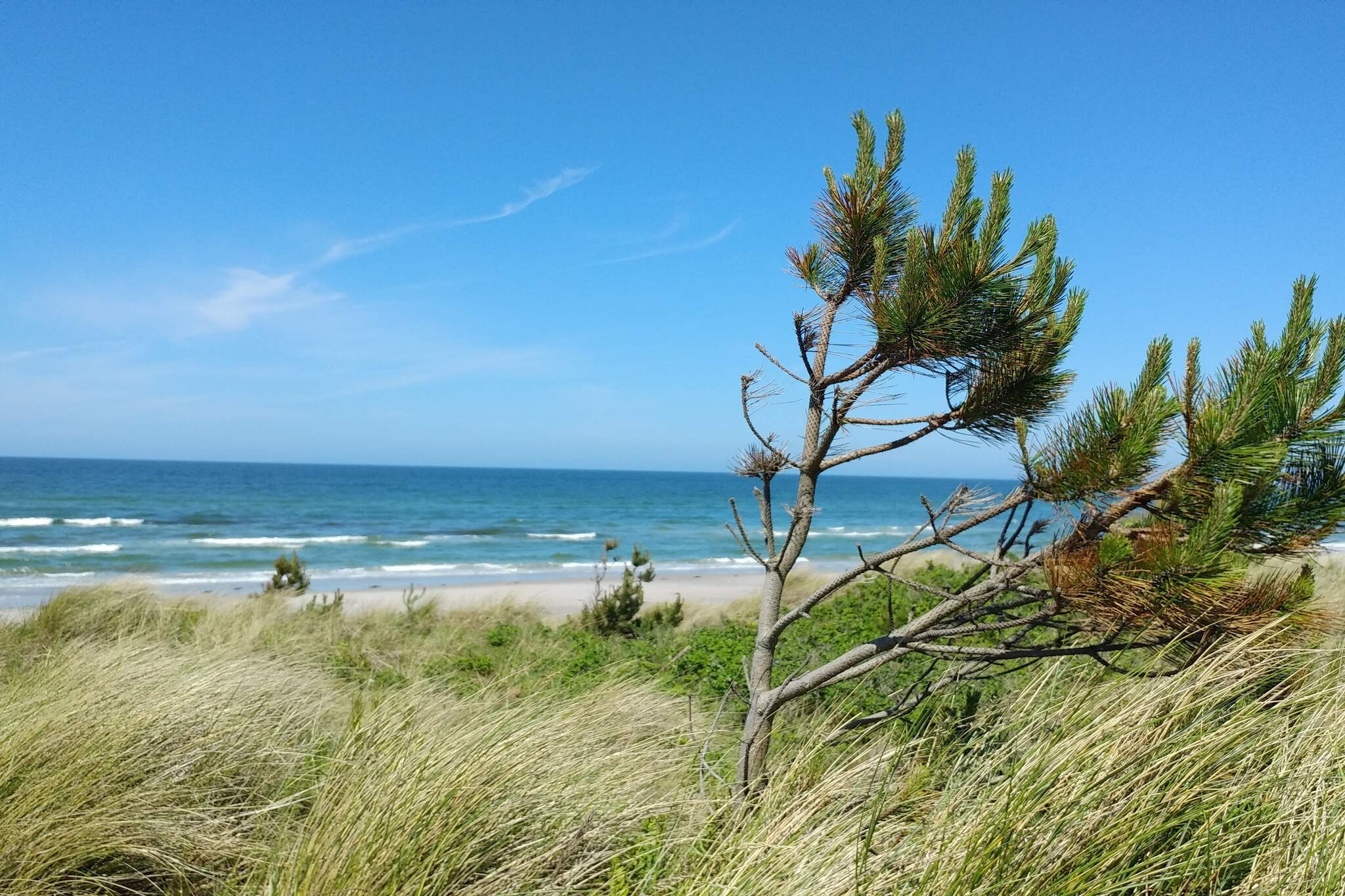 Cozy Retreat in Rorvig Haven-By Traum