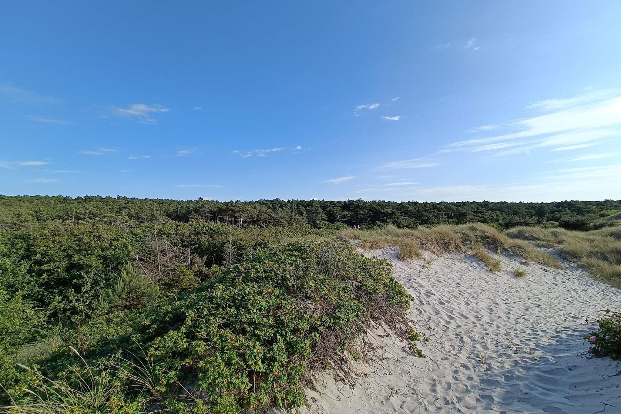 Cozy Retreat in Rorvig Haven-By Traum