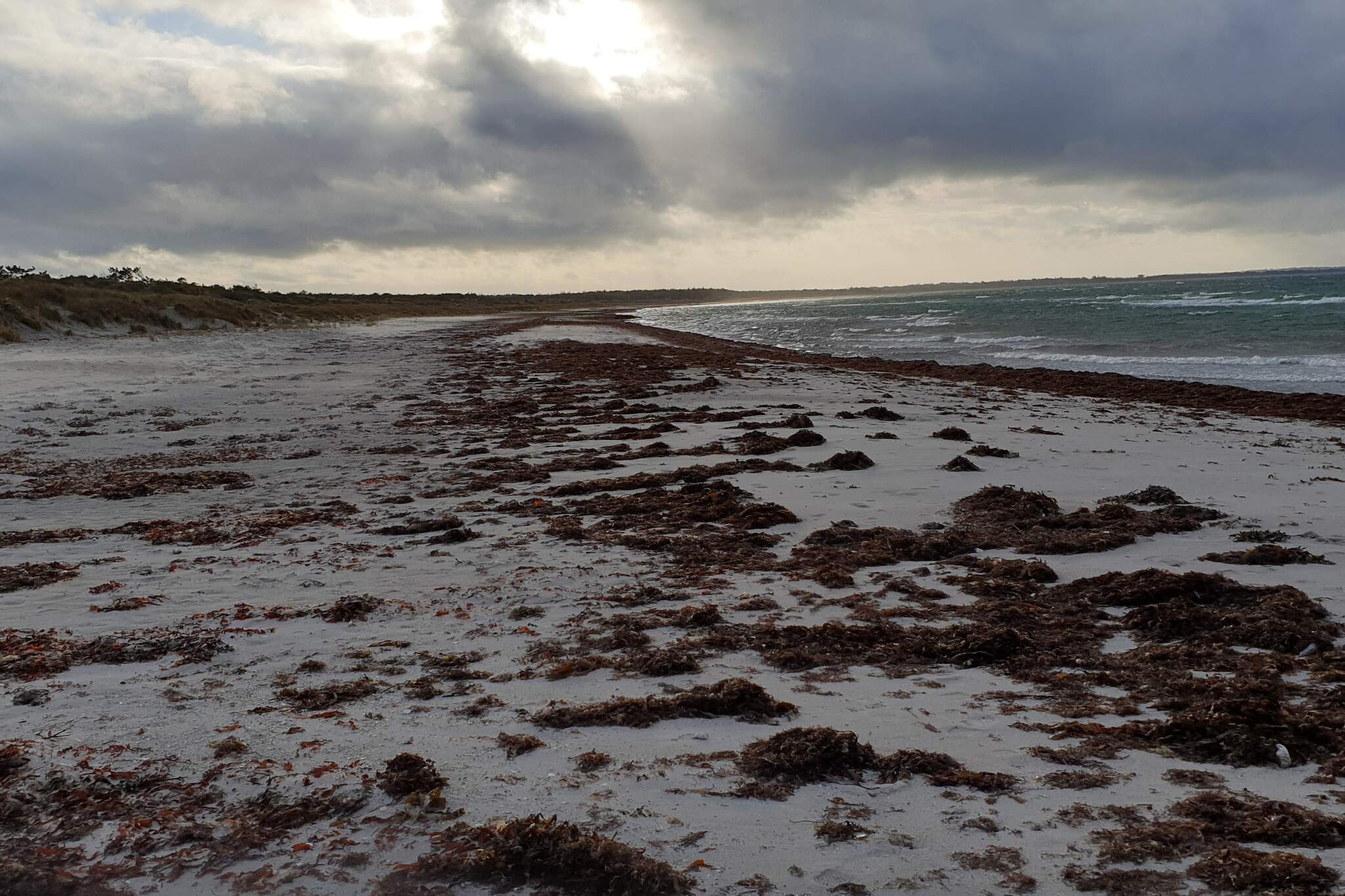 Gezellig toevluchtsoord in Rorvig Haven-By Traum-Waterzicht