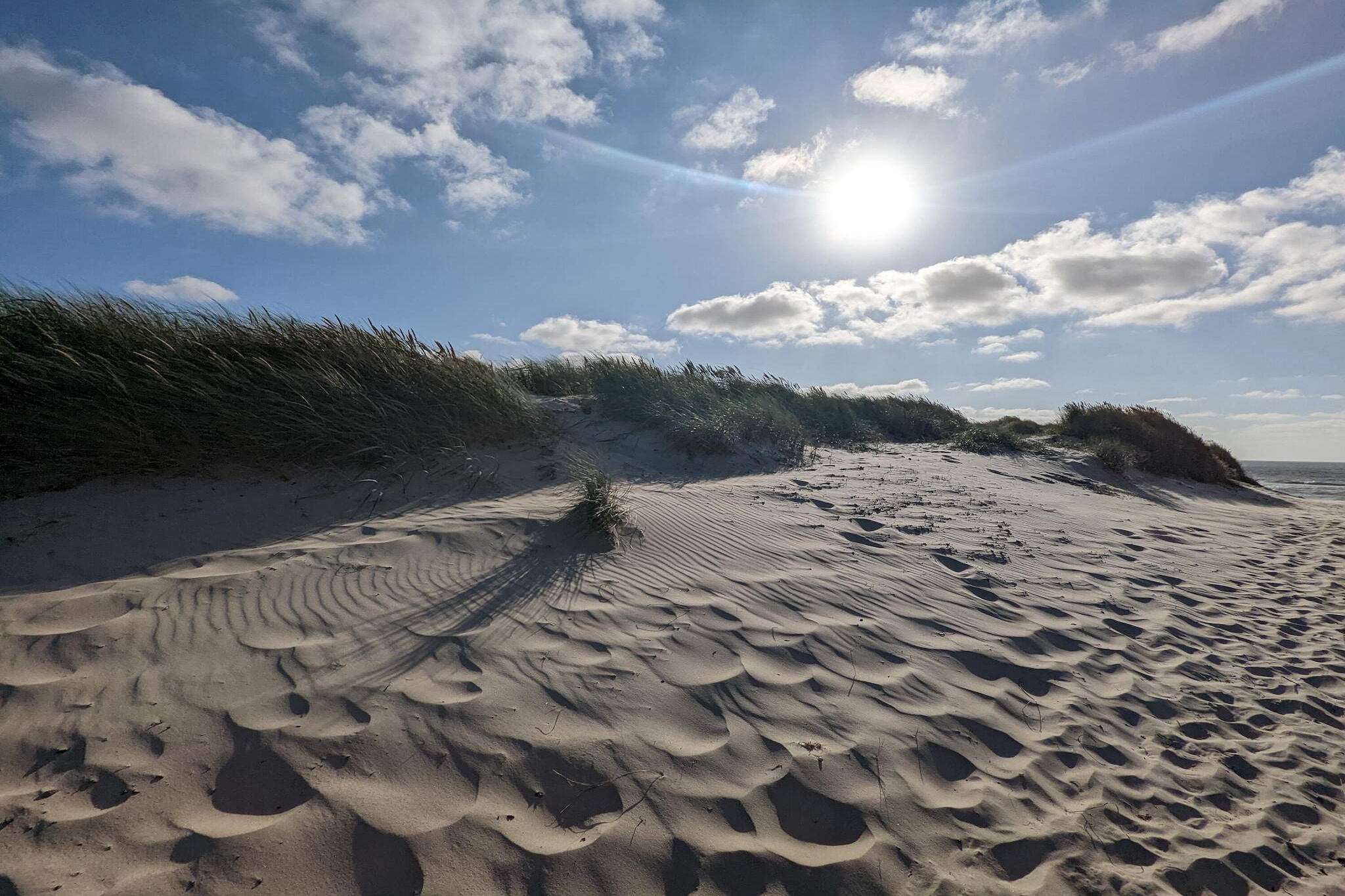 20 persoons vakantie huis in Nørre Nebel-Niet-getagd