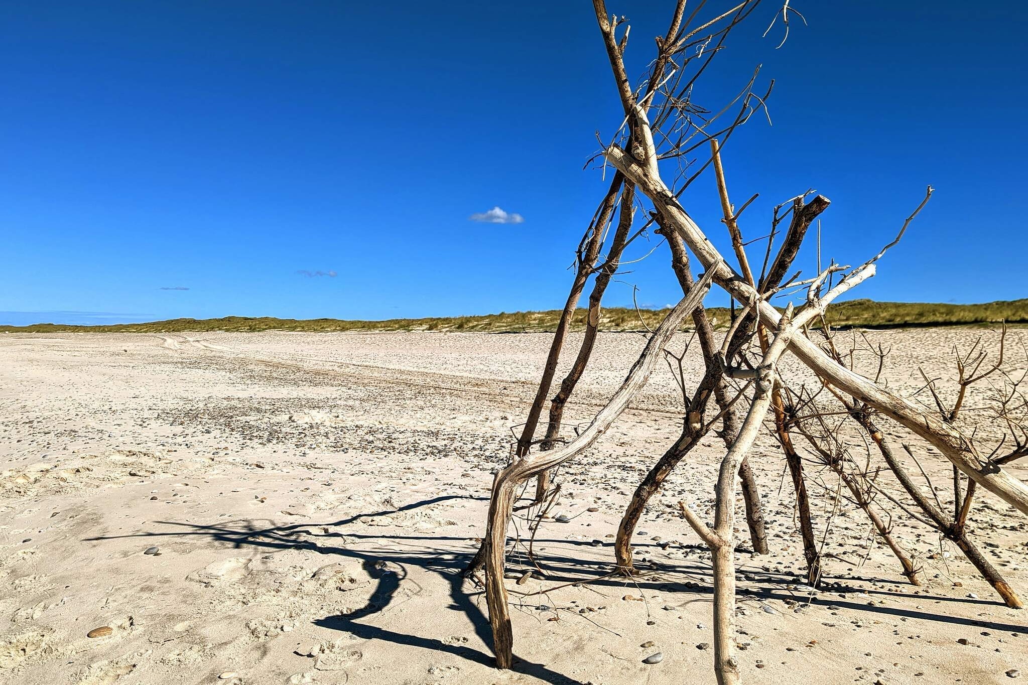 20 persoons vakantie huis in Nørre Nebel-Niet-getagd