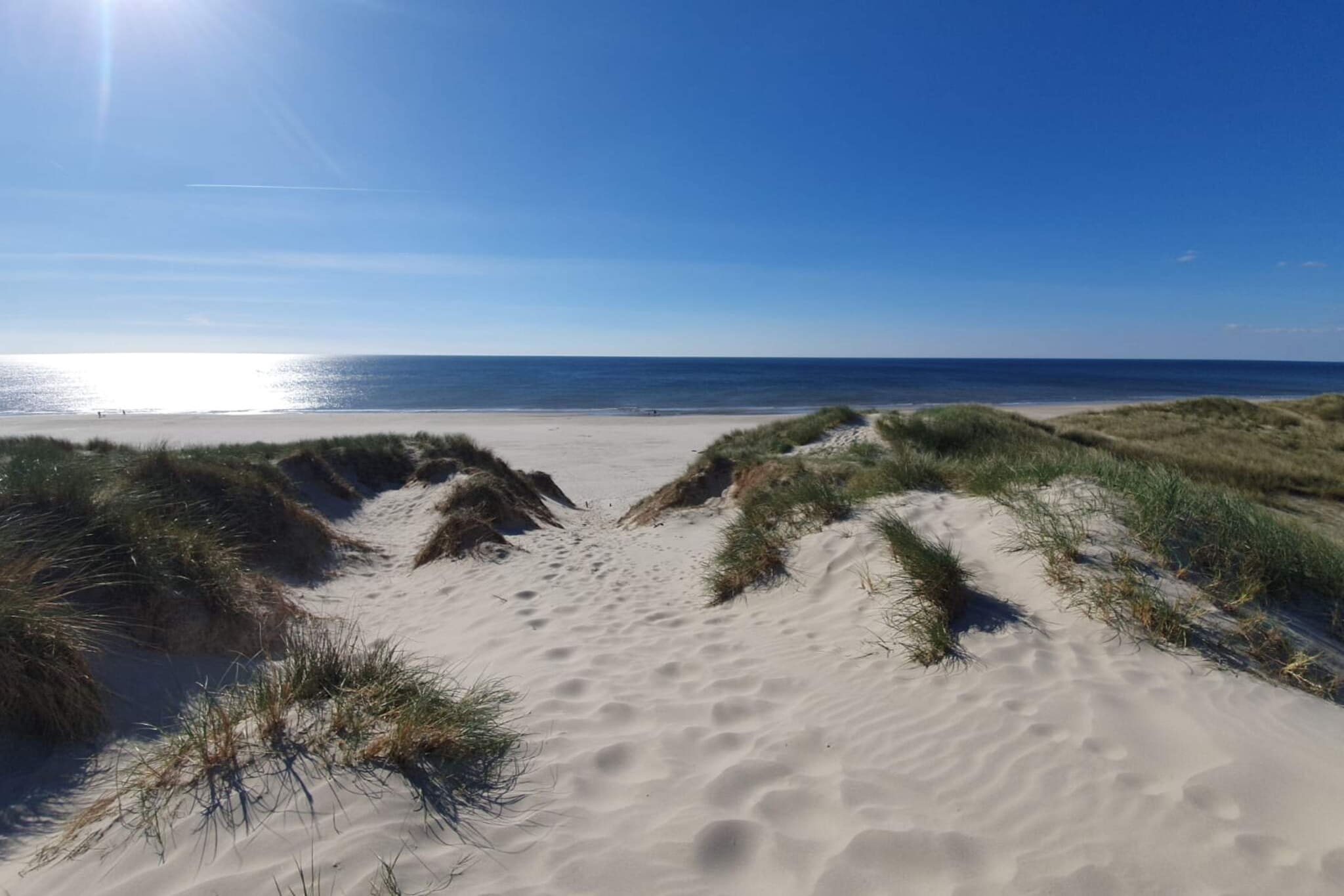 20 persoons vakantie huis in Nørre Nebel-Niet-getagd