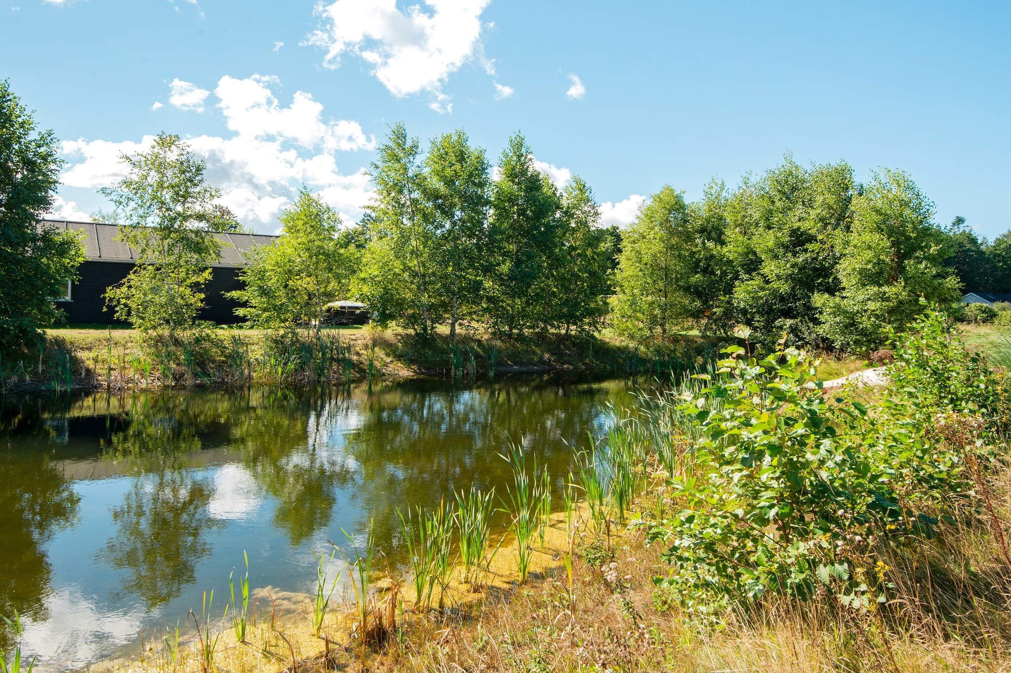 Exciting and well-appointed holiday home with whirlpool and sauna located in Fjellerup. The cottage has many exciting solutions, including the submerged whirlpool in the wellness room. In addition, you can relax from the hustle and bustle of the day in the sauna. The house is furnished with three bedrooms and a large, well-appointed living room in extension of the kitchen. You can enjoy the warmth of the brick fireplace. The house is located right down to a small lake, and there is a small terrace so you can sit and enjoy the view of the lake. Fences have been set up along the sides with the possibility of pulling it towards the house, so there is a better possibility for dogs. It only takes approx. 15 min on foot to absolutely good bathing beach, and the beautiful nature found on Djursland you have right outside the house. Not for rent to youth groups.

A refundable deposit might be charged closer to your check-in date. This deposit covers utilities consumed during your stay and any additional services that may be taken. The final amount will be adjusted based on actual meter readings, actual usage of extra services, and any remaining balance will be refunded within 21 days after checkout.