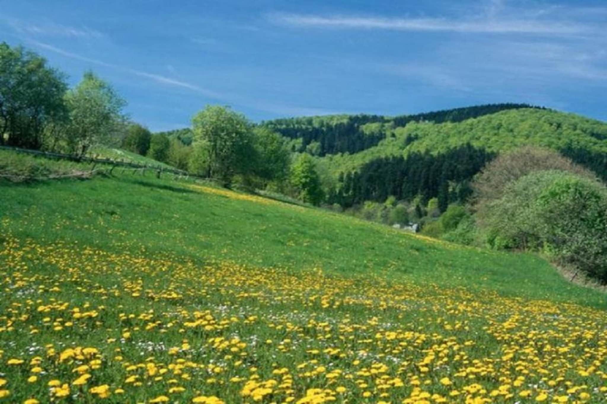 Olsberg-Elpe-Gebieden zomer 20km