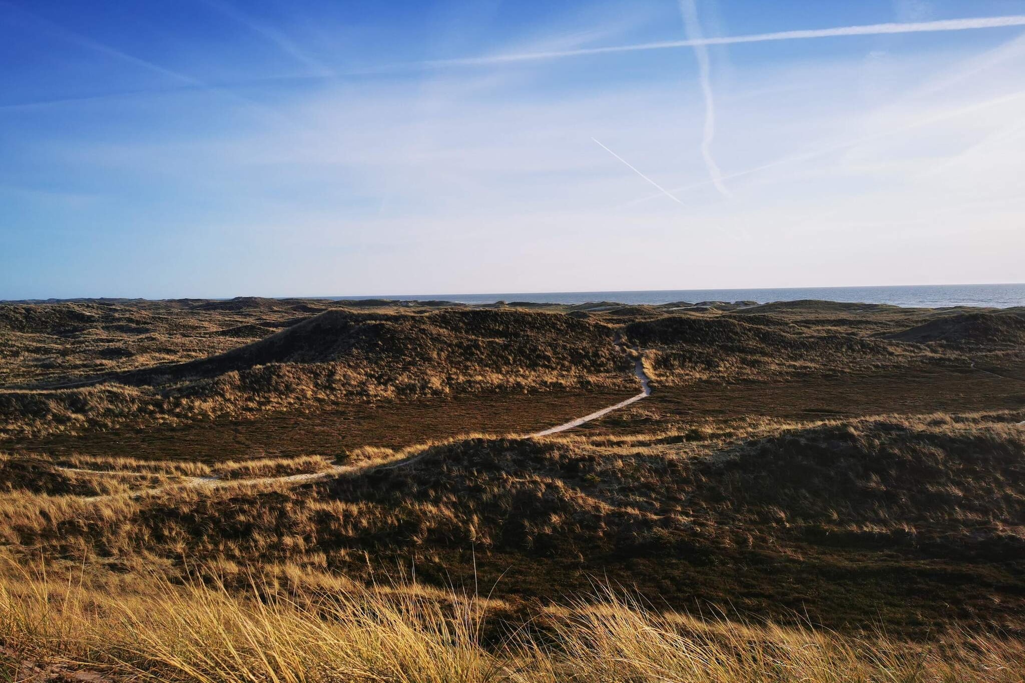 8 persoons vakantie huis in Ringkøbing