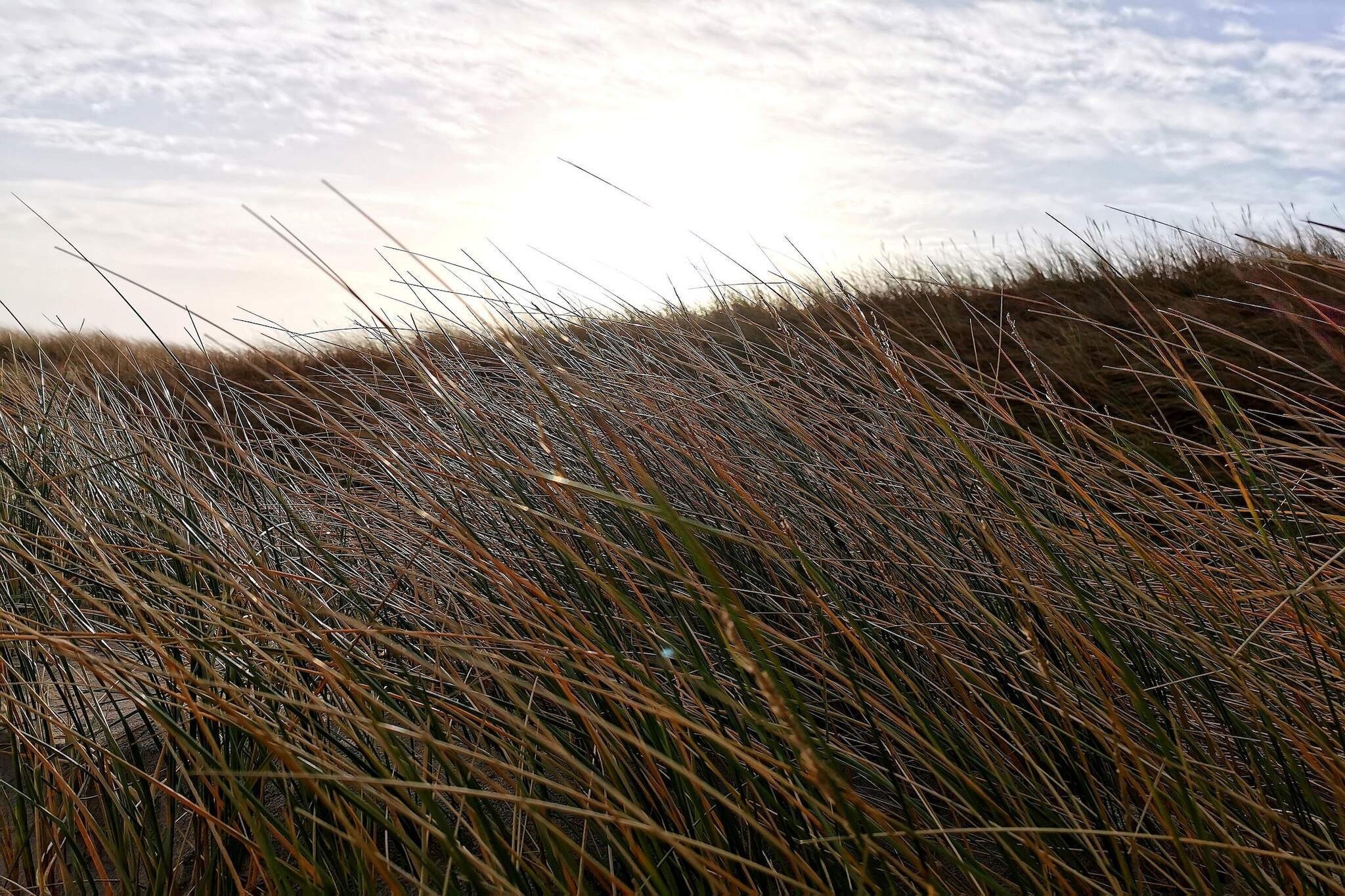Maison de vacances pour 8 a Ringkøbing