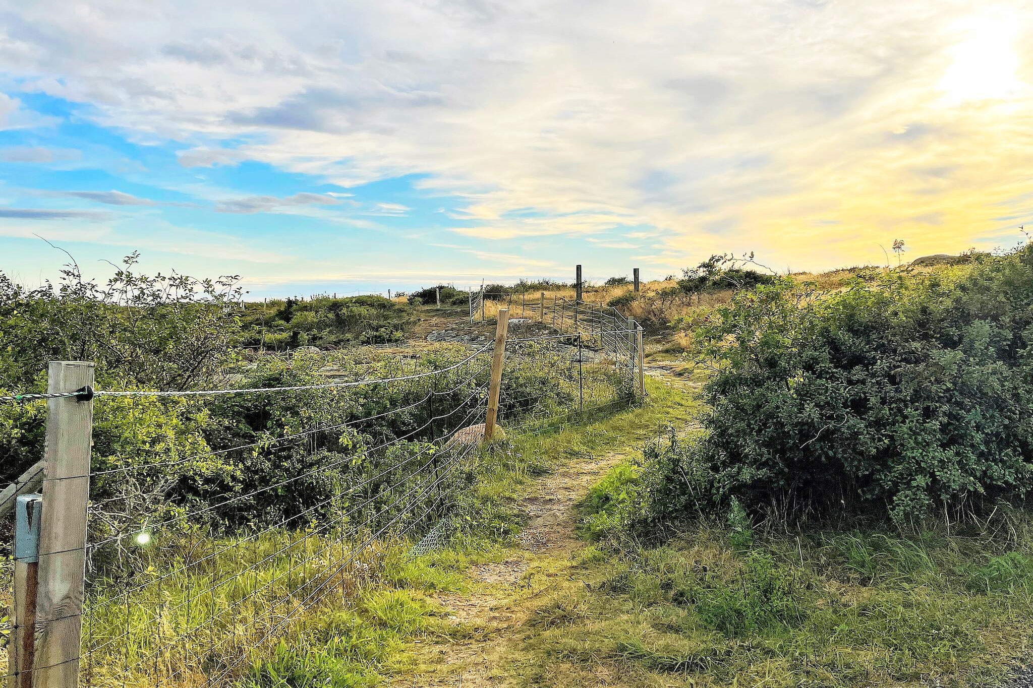 3 persoons vakantie huis in Öckerö-Niet-getagd